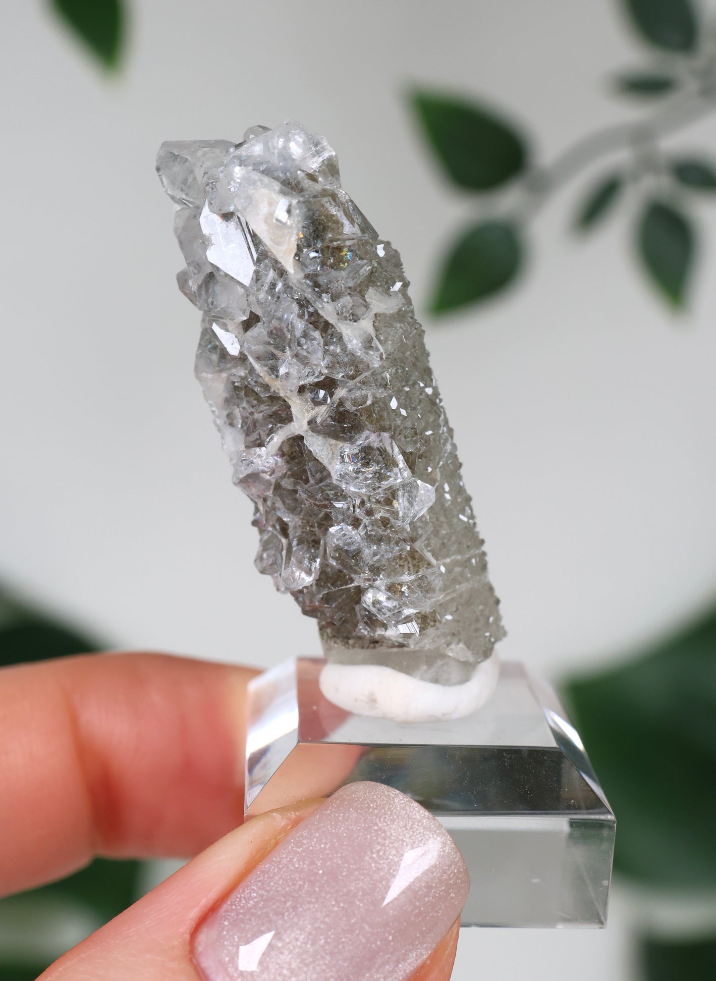 Apophyllite x Quartz x Chlorite No.57Q2