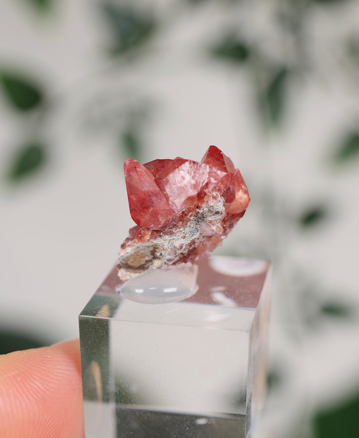 Kristallisierter Rhodochrosit Oldstock Nr.296RH