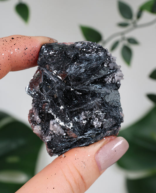 Specularite No. 97SP