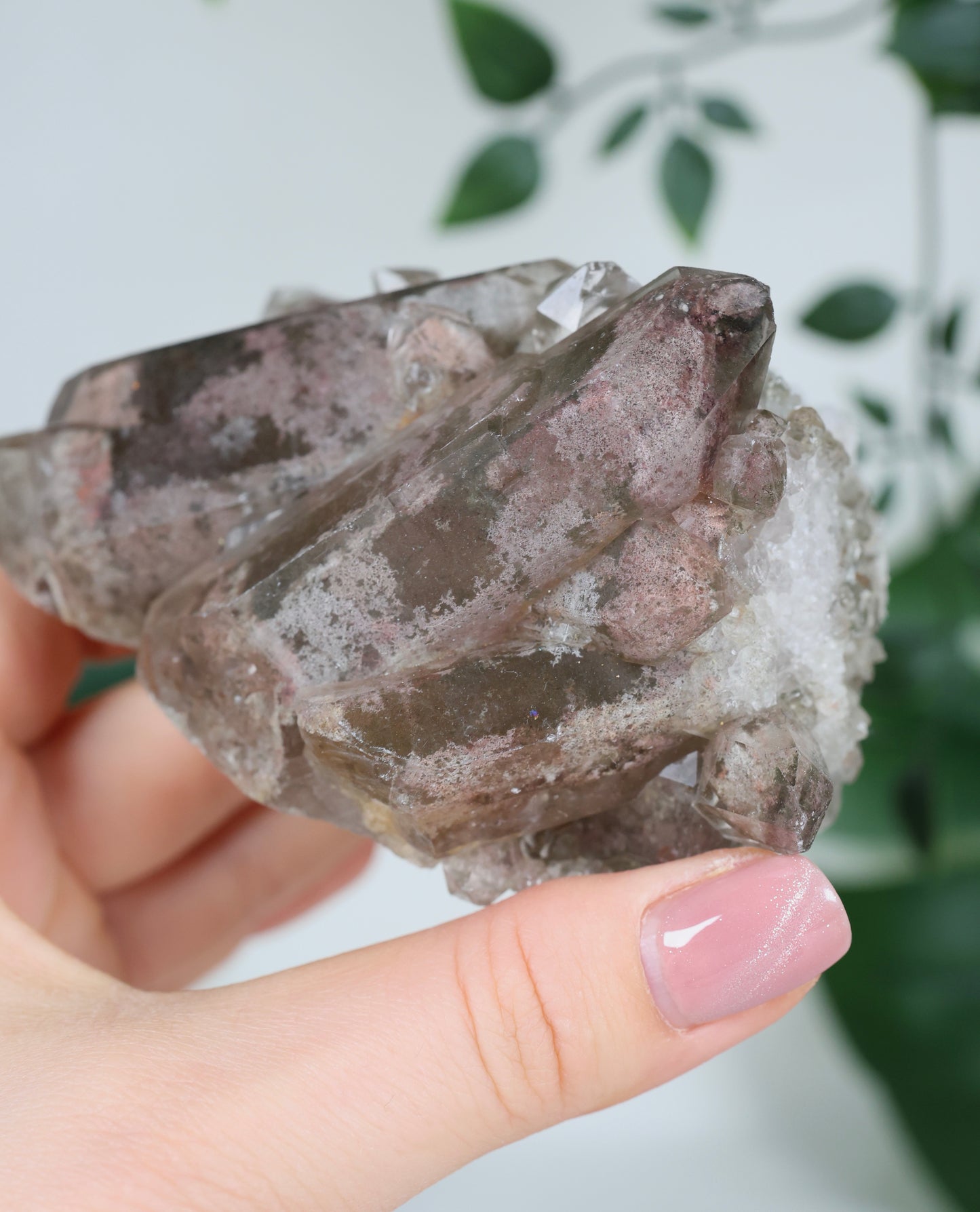 Garden Quartz x Rutile Cluster No. 178GR