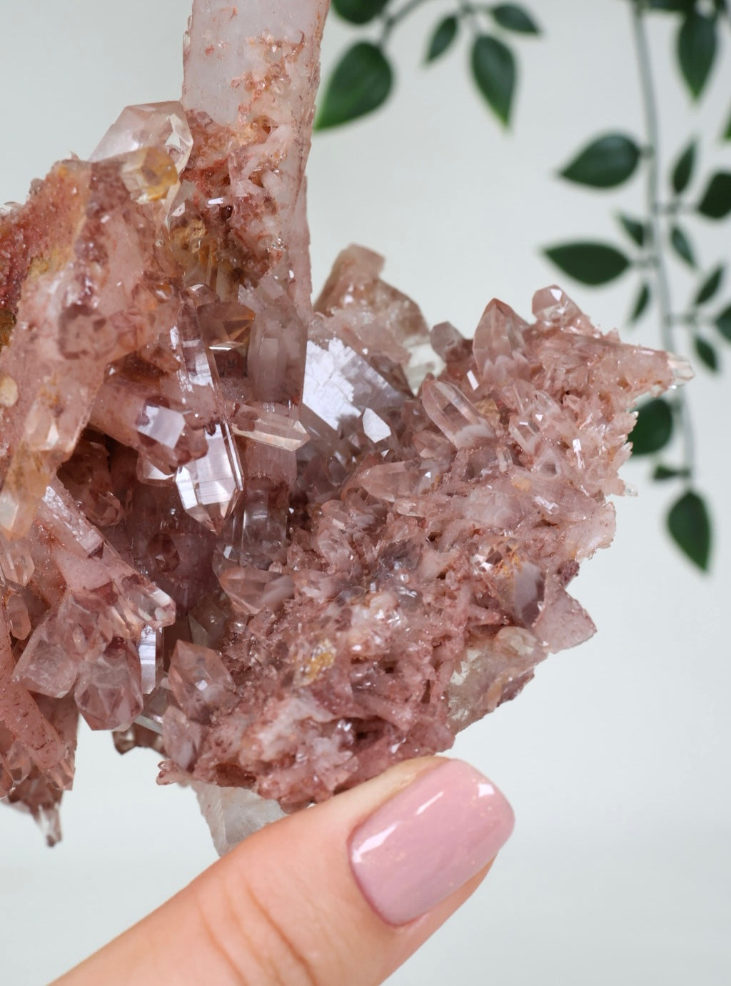 Sunset Quartz No. 500SQ