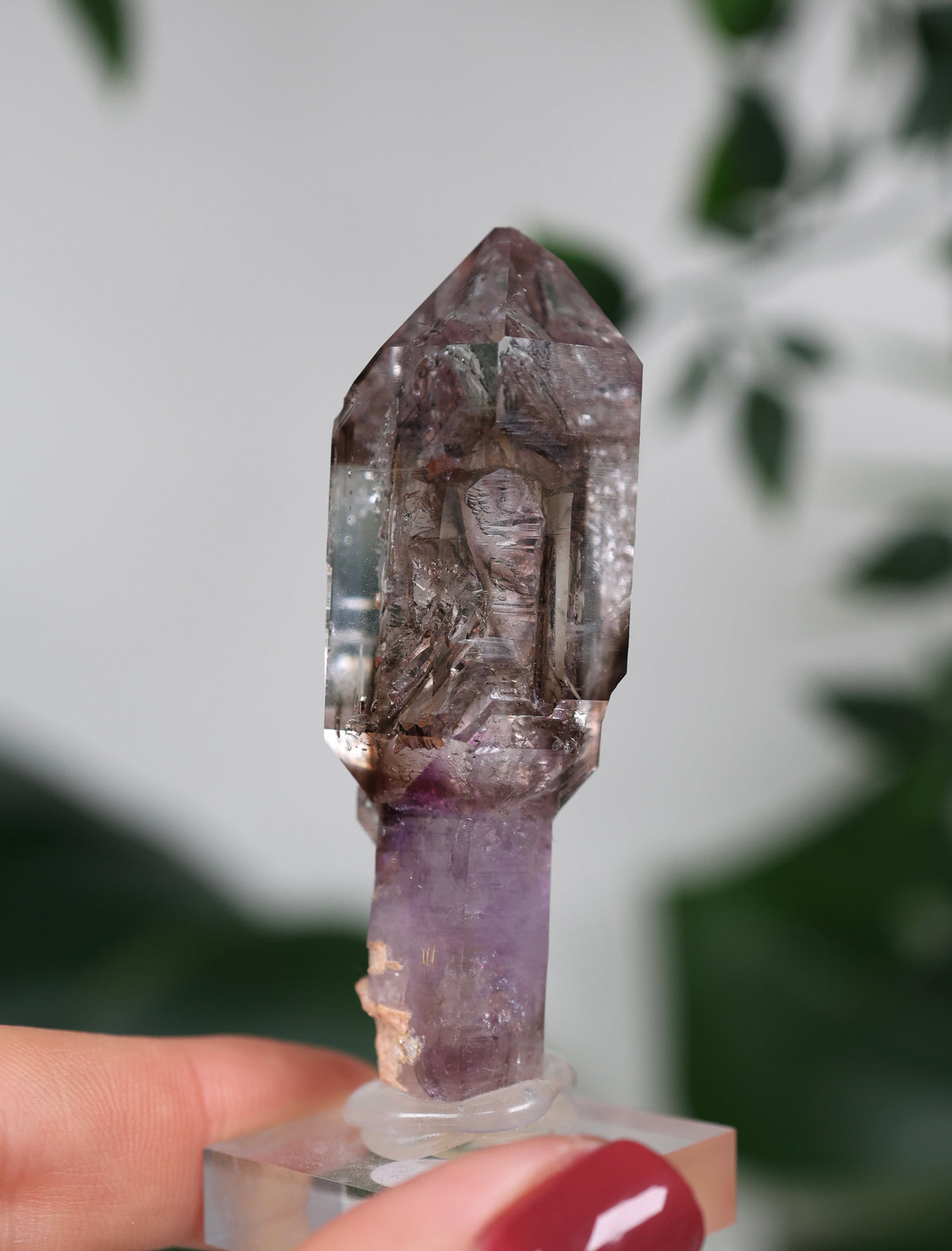 Amethyst x Rauchquarz Zepter Enhydro Nr.444AZ