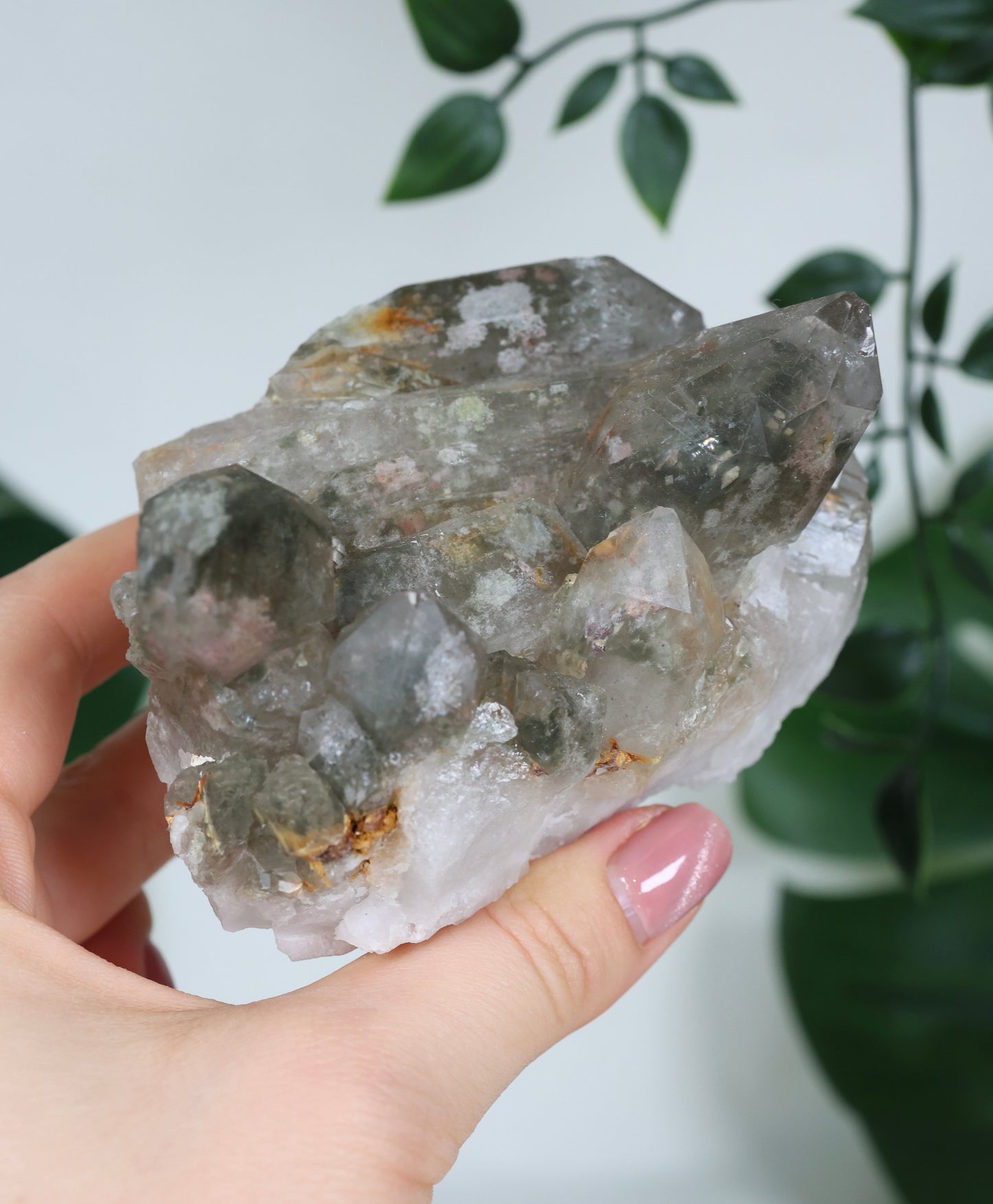 Garden Quartz x Rutilated Quartz Cluster No. 255GR