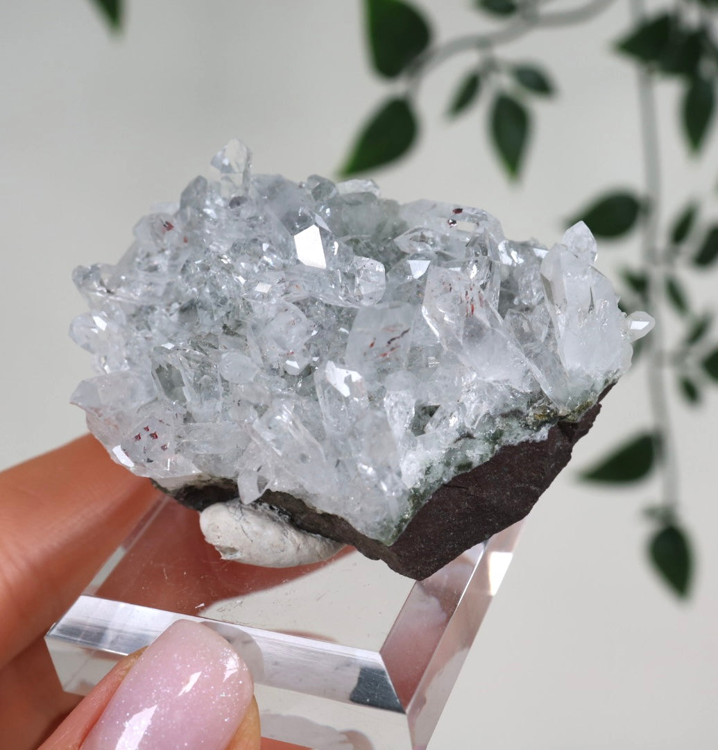 Starburst Quartz x Hematite Goboboseb No.156GQ