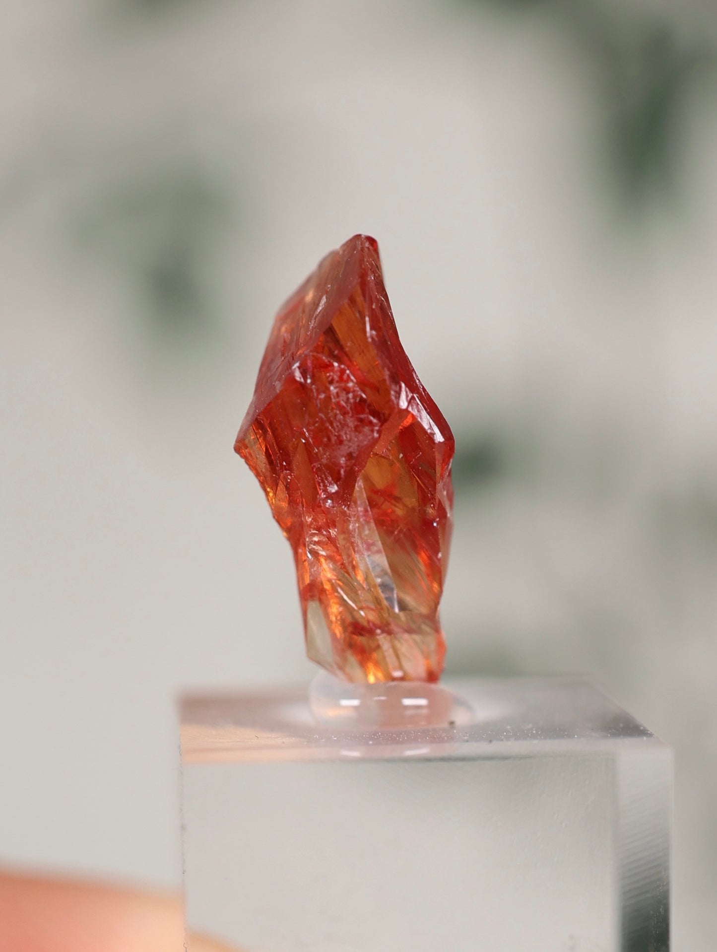 Kristallisierter Rhodochrosit Oldstock Nr.84RH