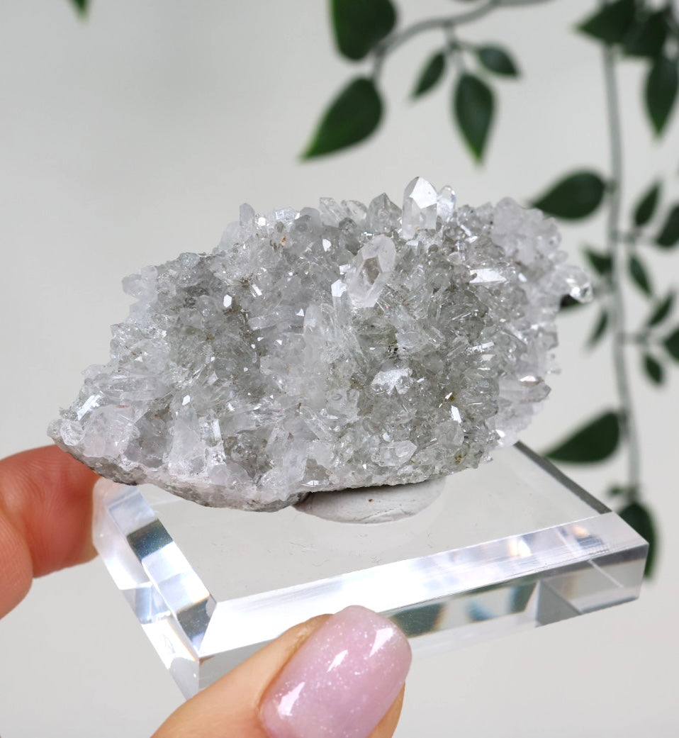 Starburst Quartz x Hematite Goboboseb No.168GS