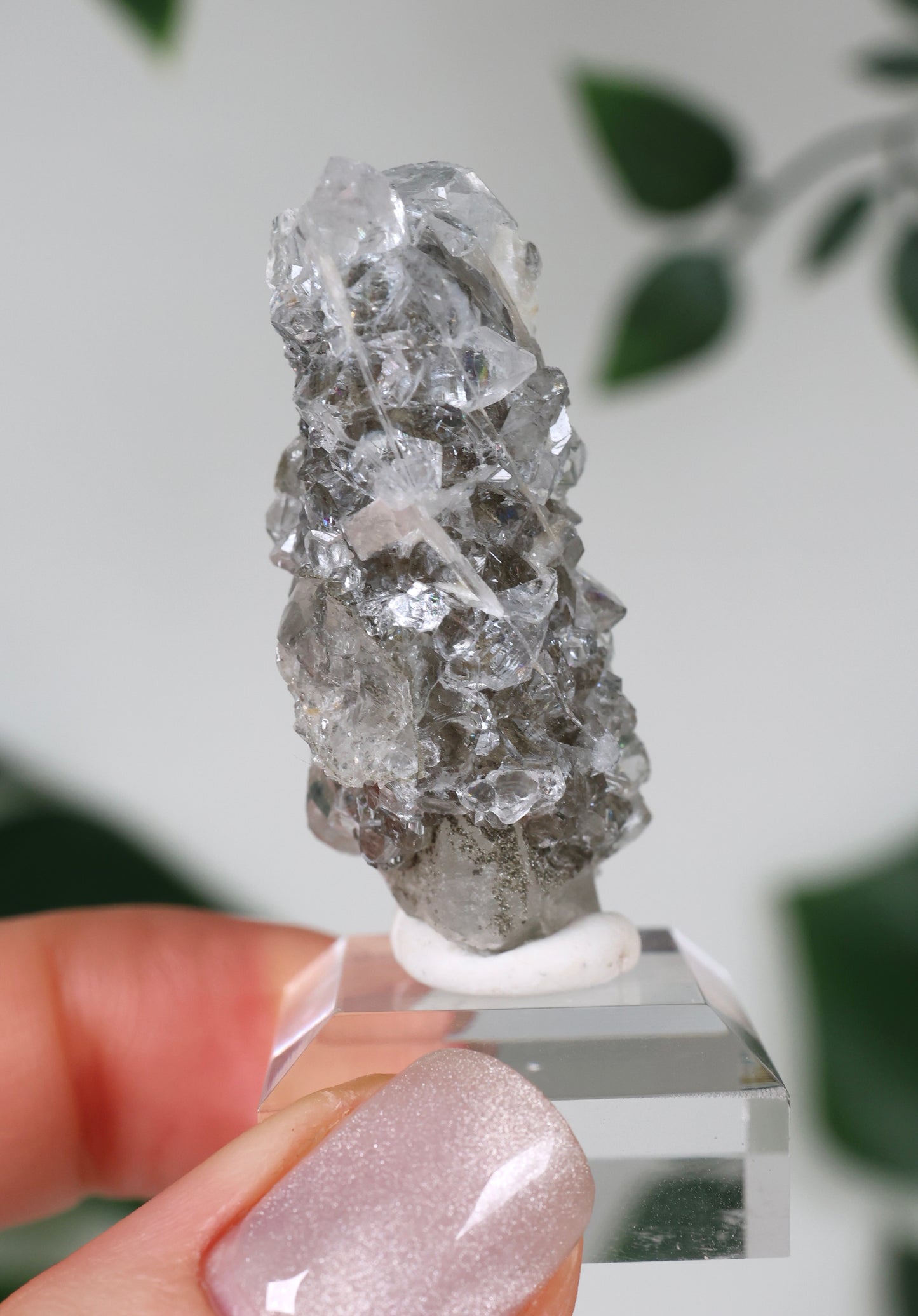 Apophyllite x Quartz x Chlorite No.57Q2