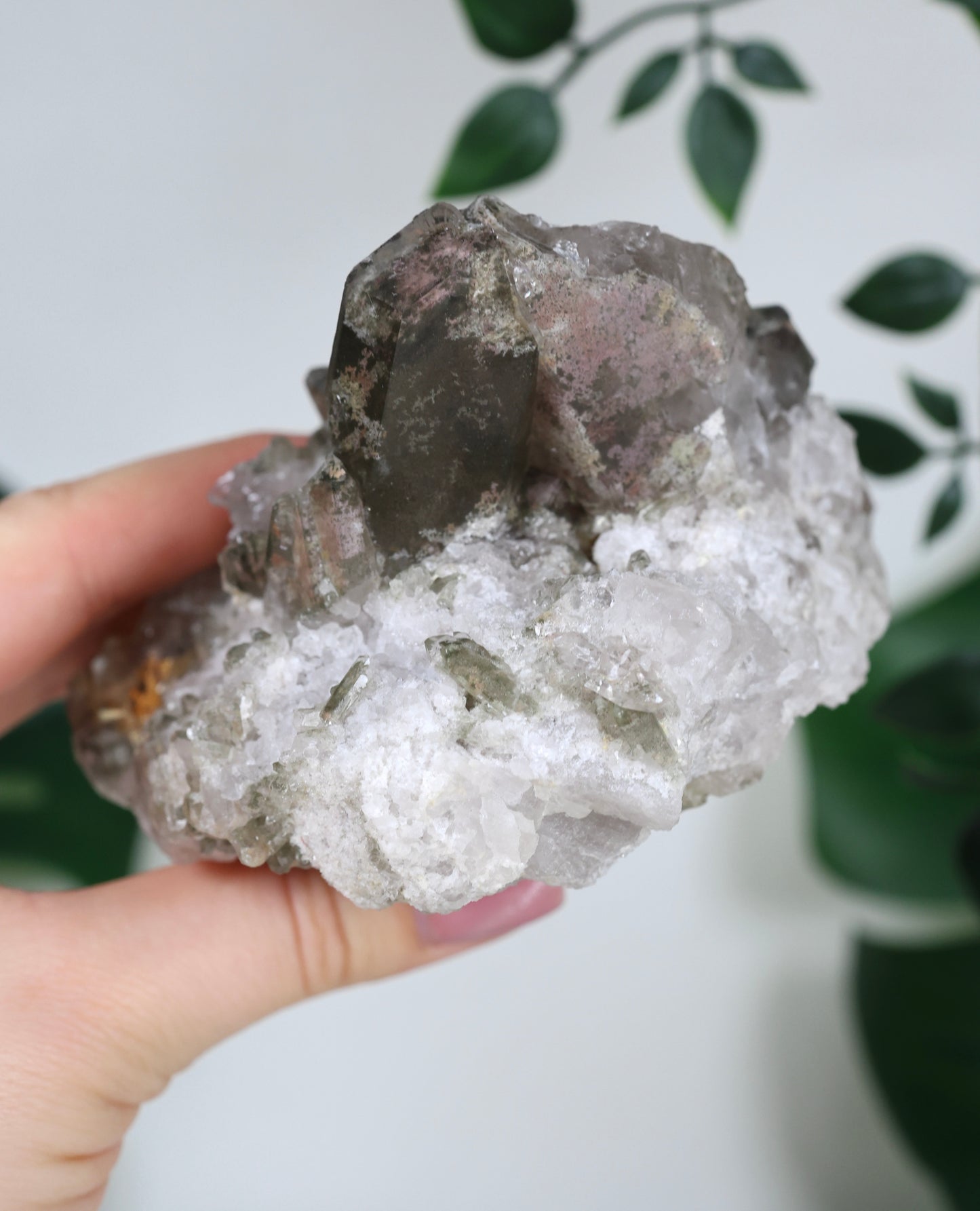Garden Quartz x Rutile Cluster No. 99GR 