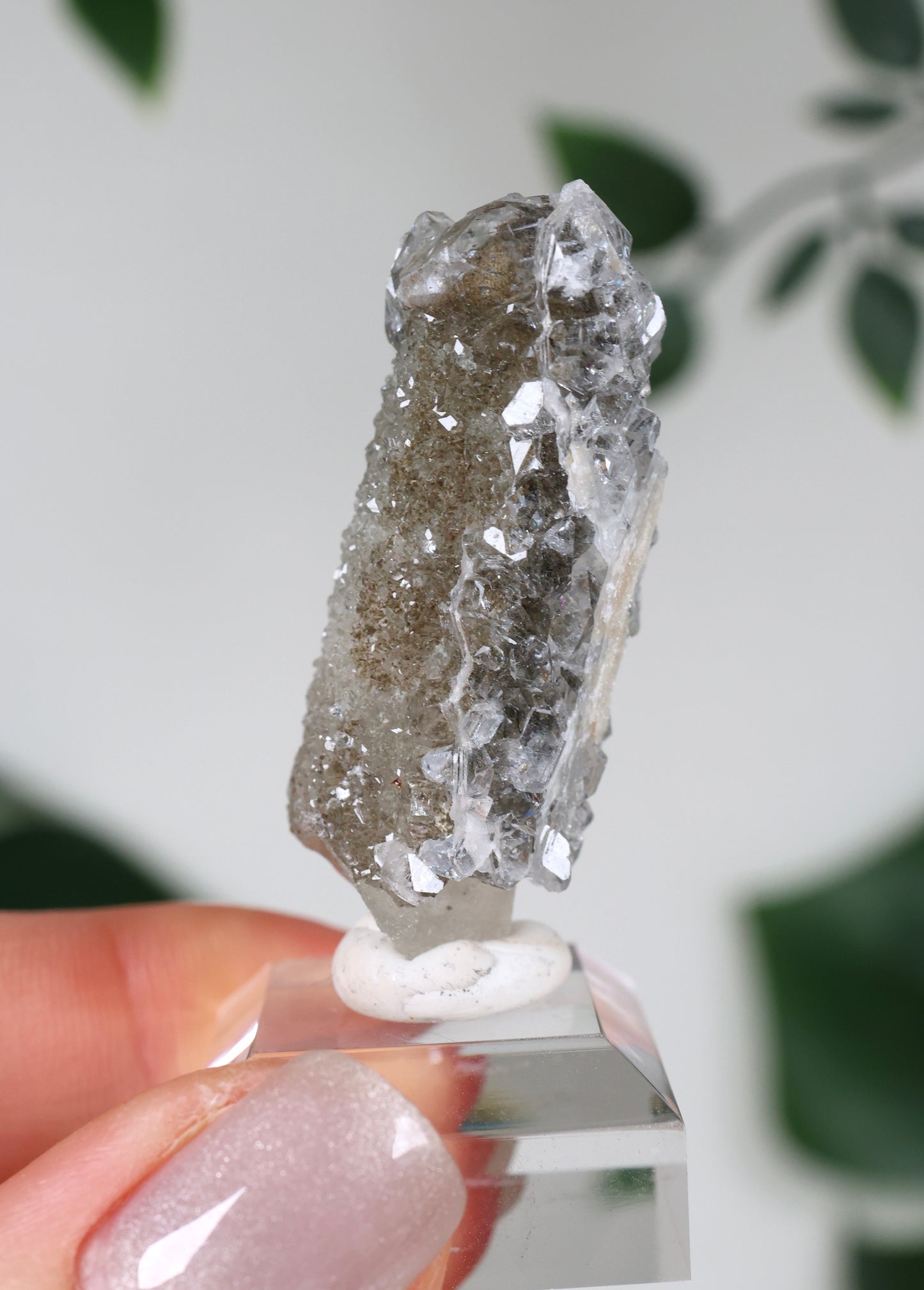 Apophyllite x Quartz x Chlorite No.57QA