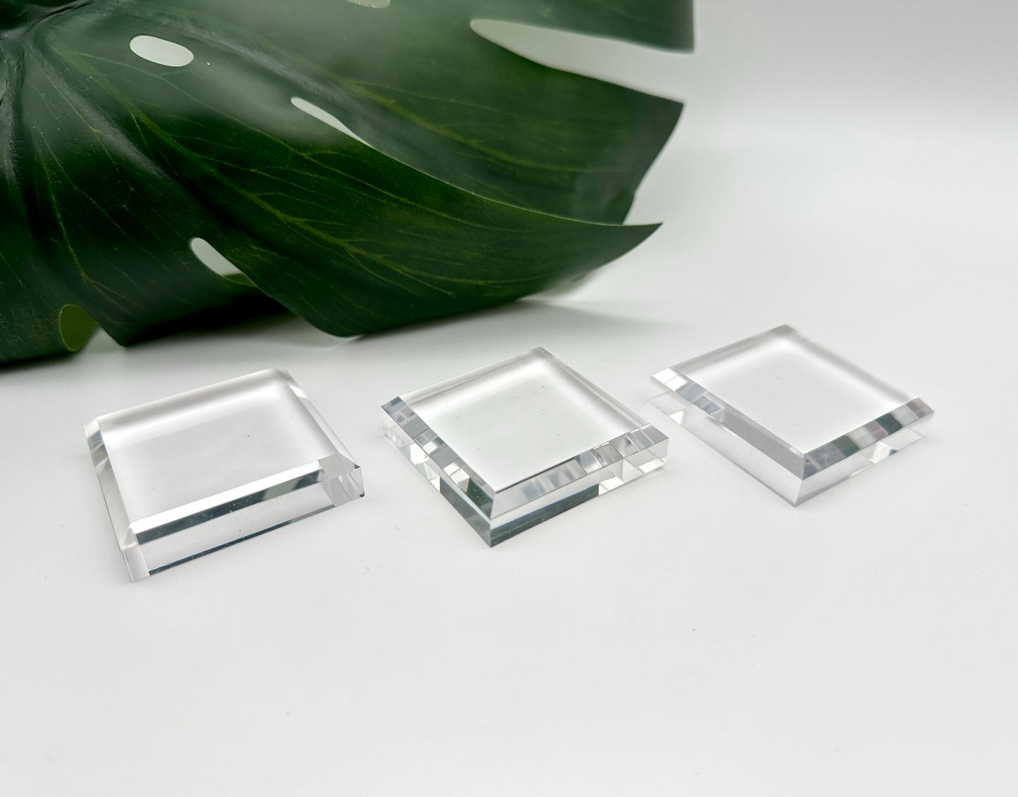 Acrylic plate for Specimen L