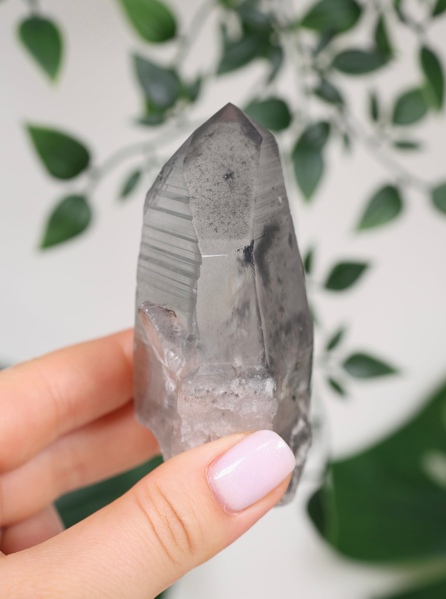 Black Phantom Lemurian Semi-Polished Nr.109BL