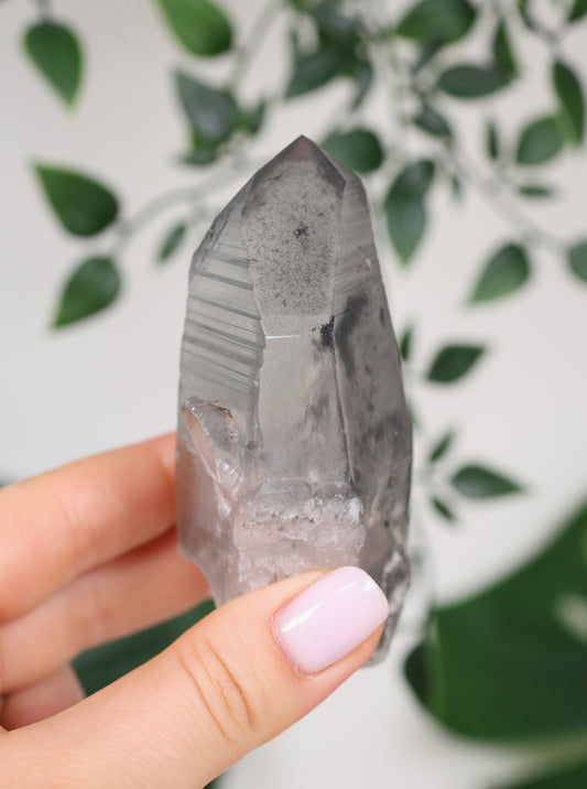 Black Phantom Lemurian Semi-Polished Nr.109BL