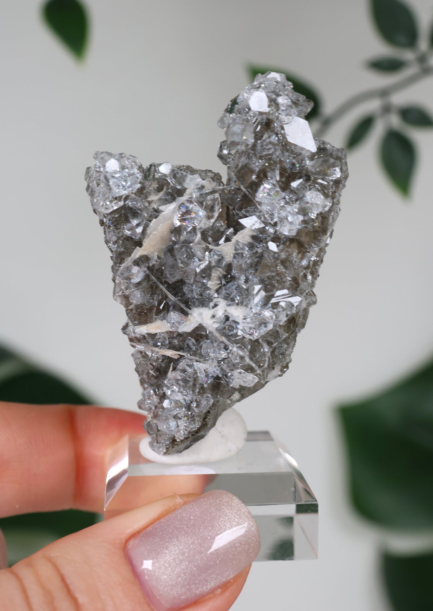 Apophyllite x Quartz x Chlorite No. 111Q1