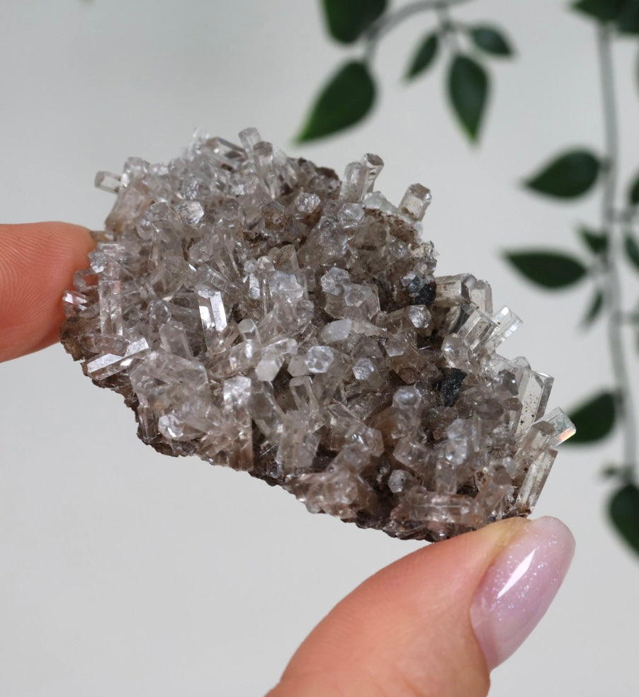 Columnar Calcite No. 62CC 