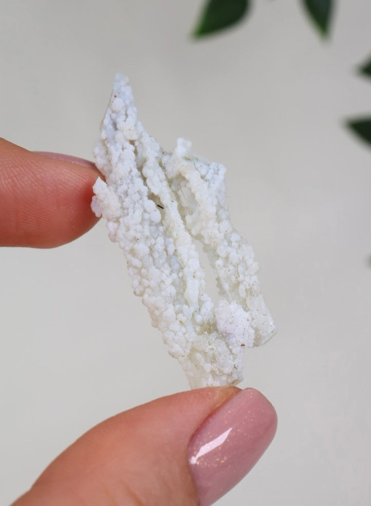Calcedonia azul coral - Selección