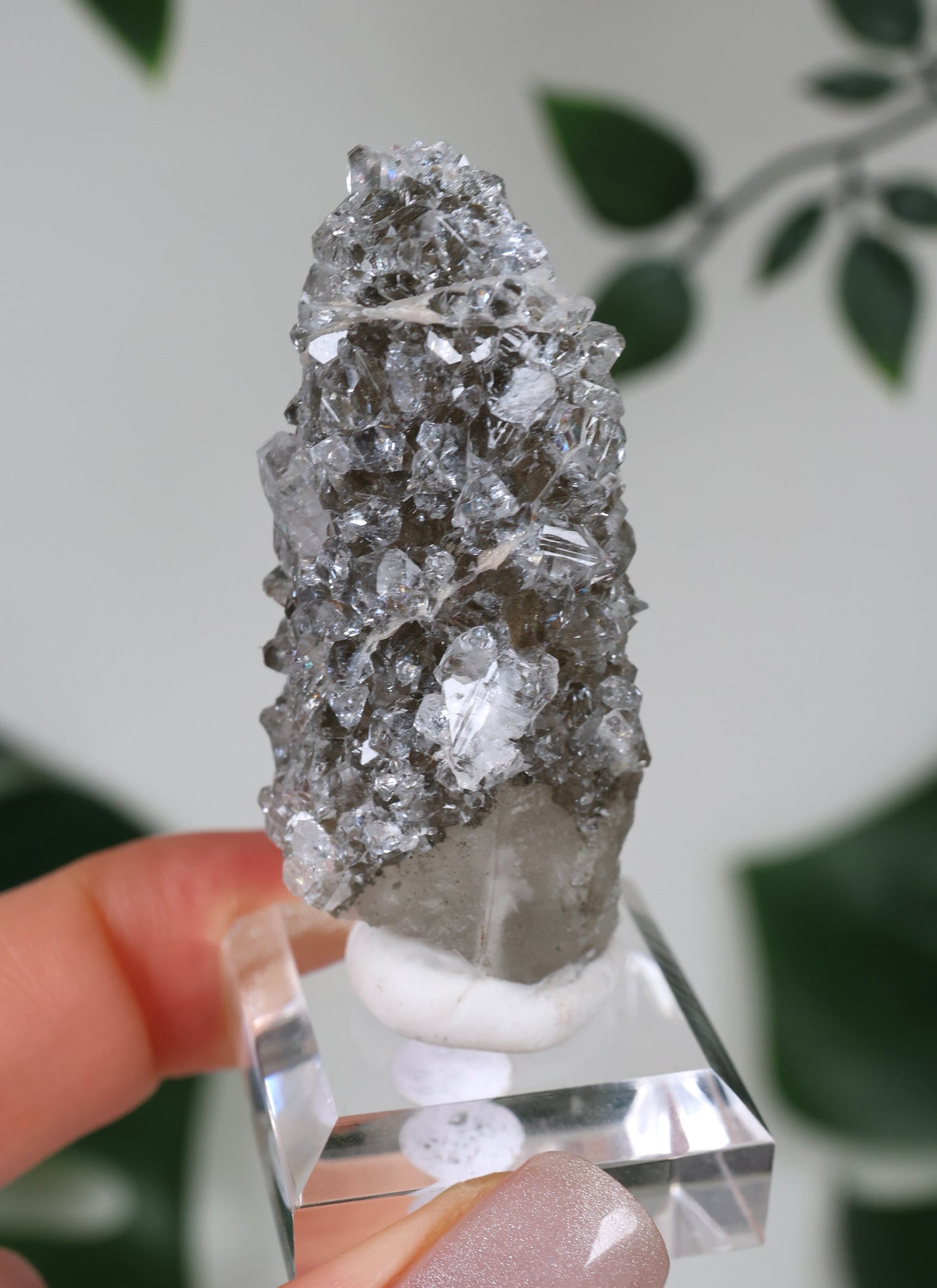 Apophyllite x Quartz x Chlorite No. 104QA