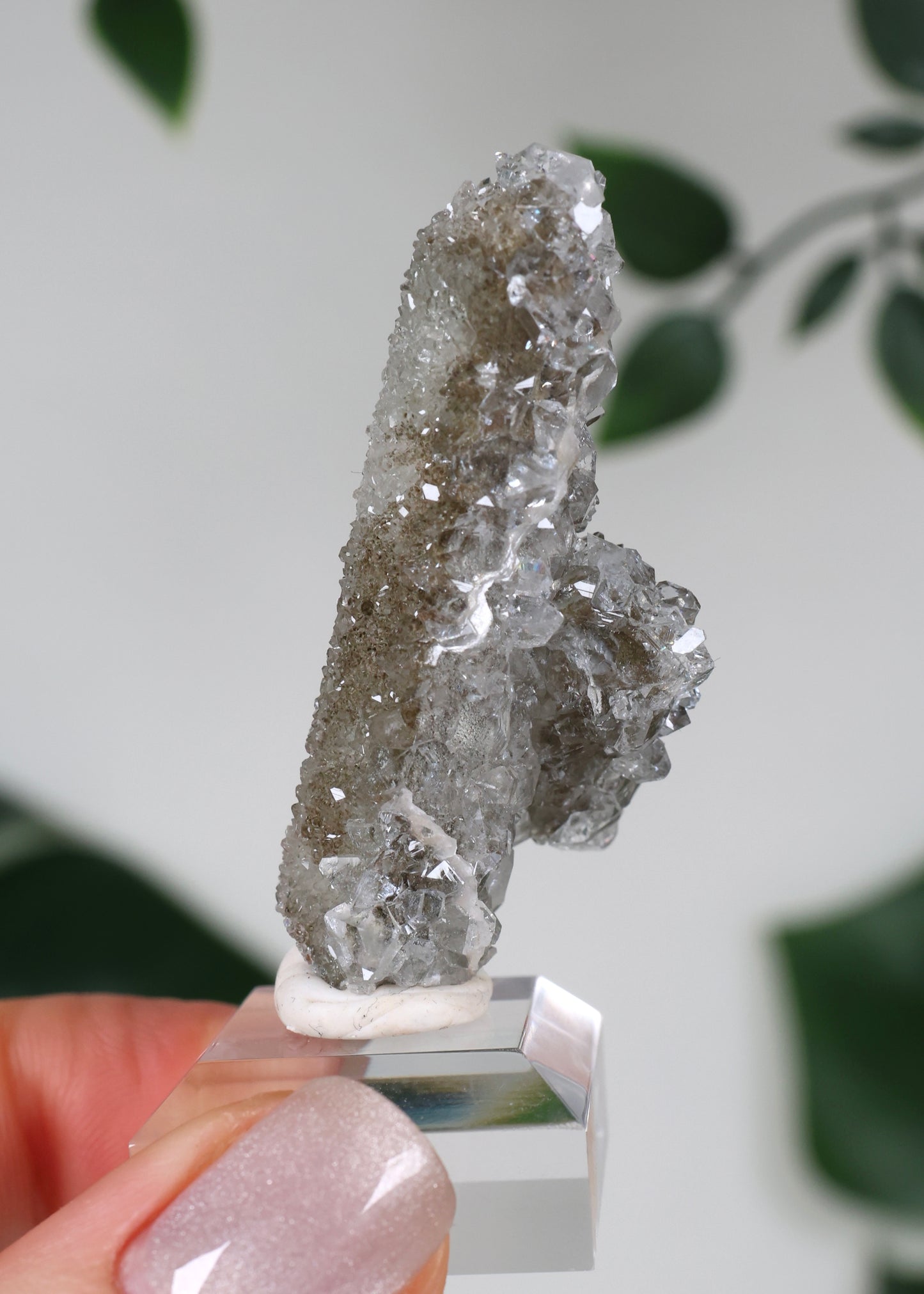 Apophyllite x Quartz x Chlorite No.66Q1