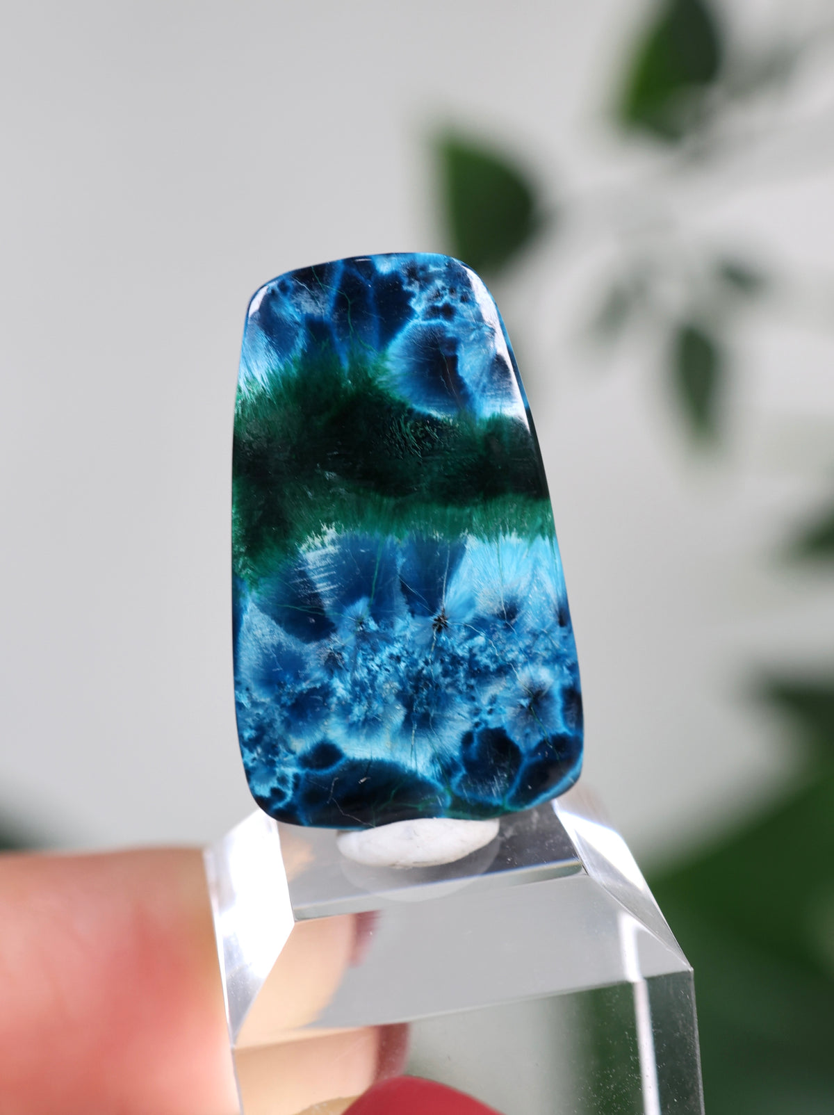 Tantara Shattuckit x Dioptas Oldstock Cabochon Nr.164SD