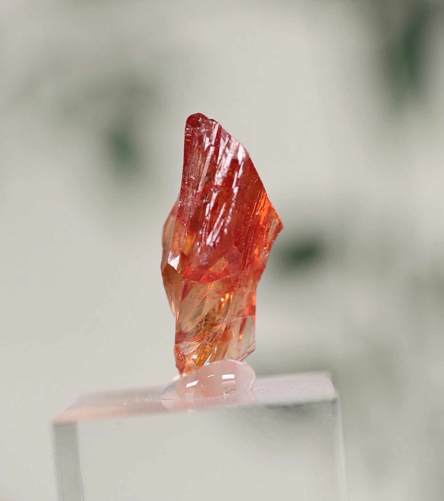 Kristallisierter Rhodochrosit Oldstock Nr.84RH