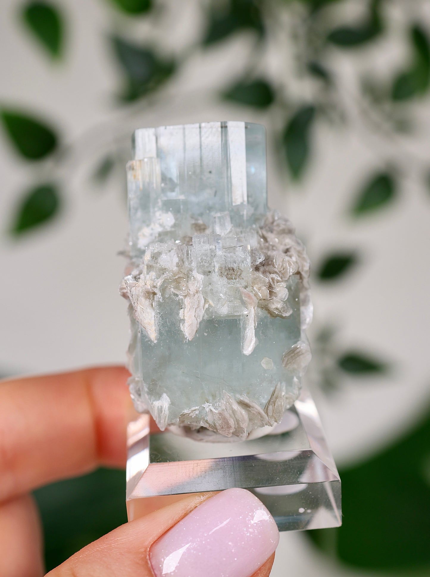 Aquamarin x Muskovit Nr.133AM