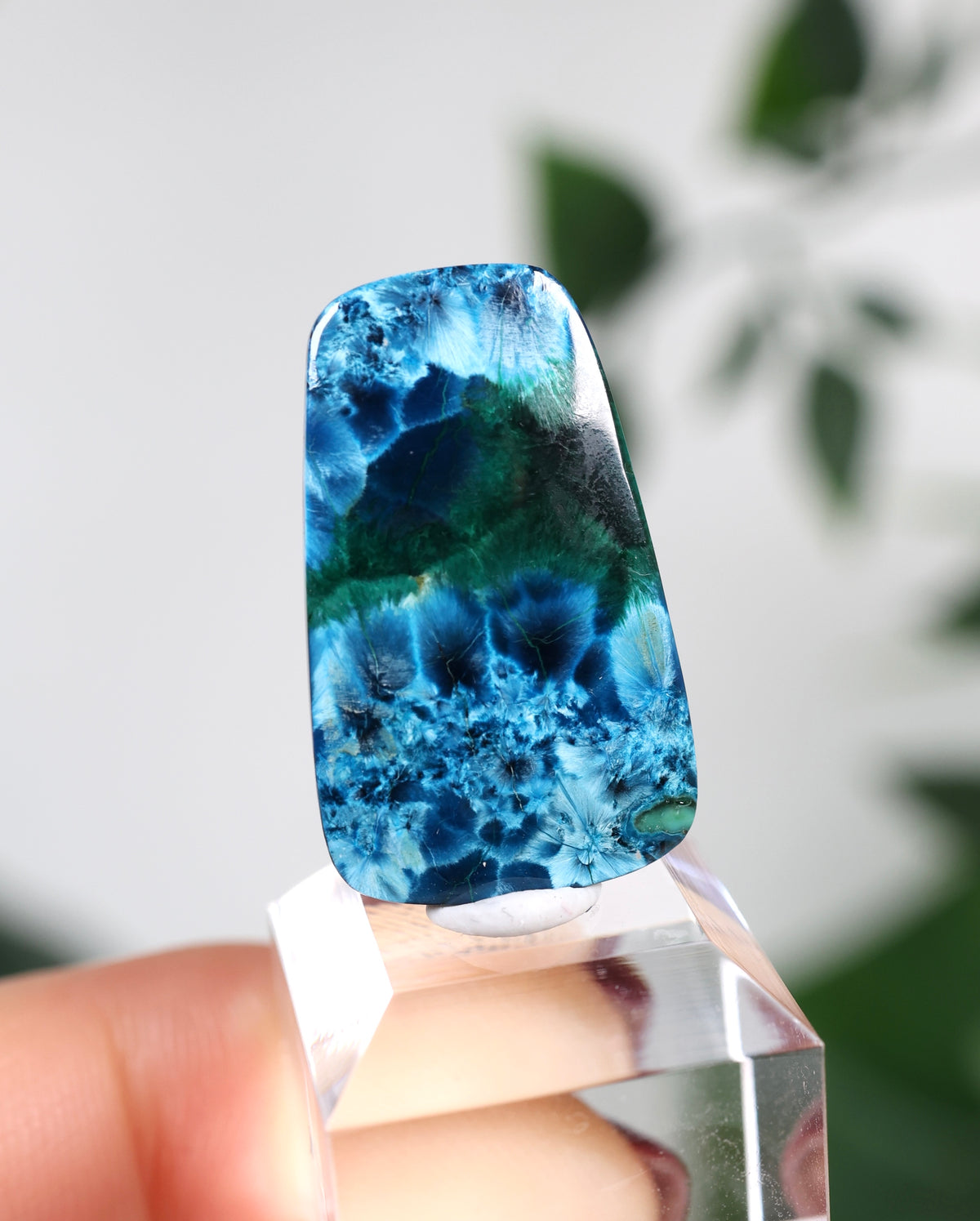 Tantara Shattuckit x Dioptas Oldstock Cabochon Nr.164ST