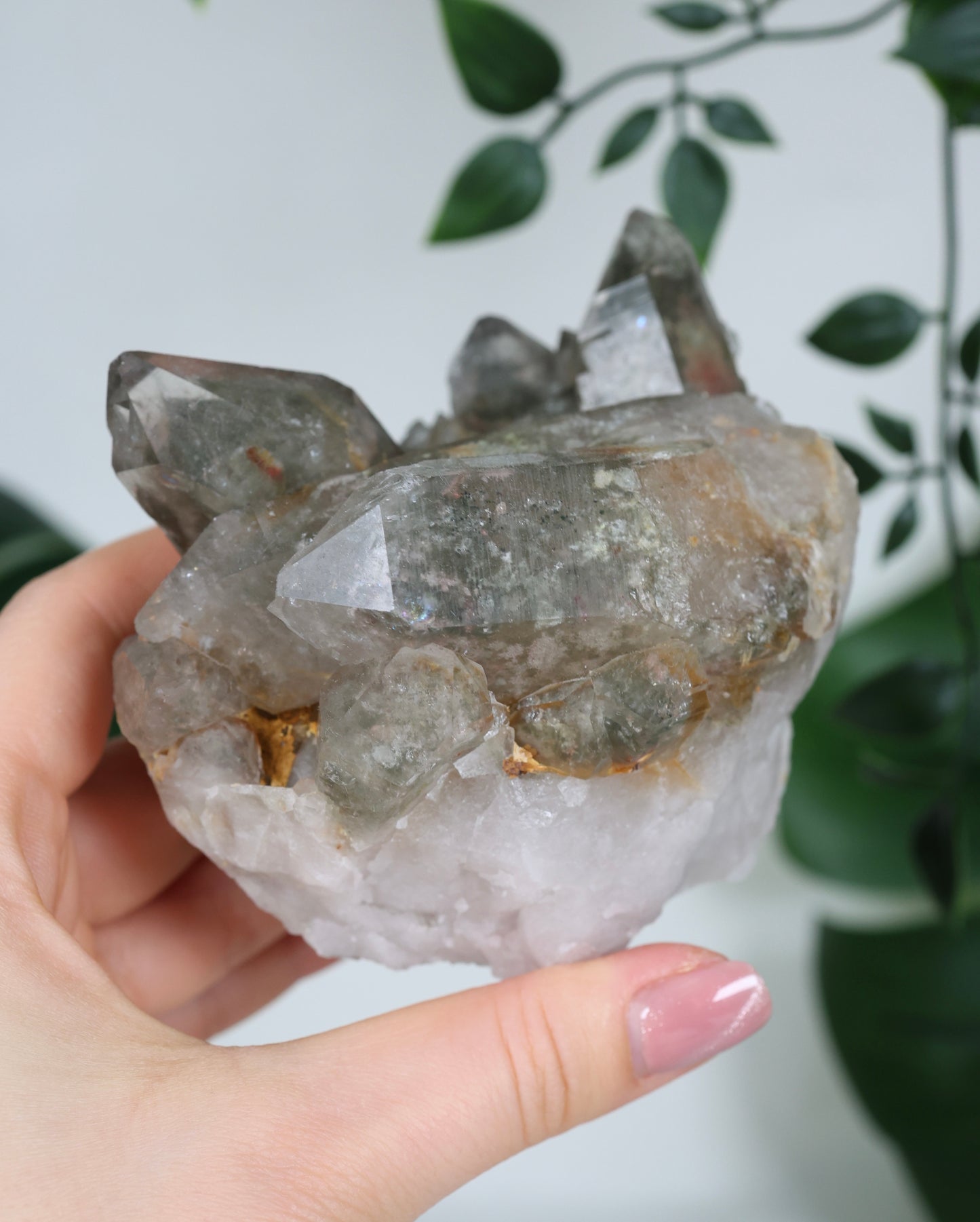 Garden Quartz x Rutilated Quartz Cluster No. 255GR