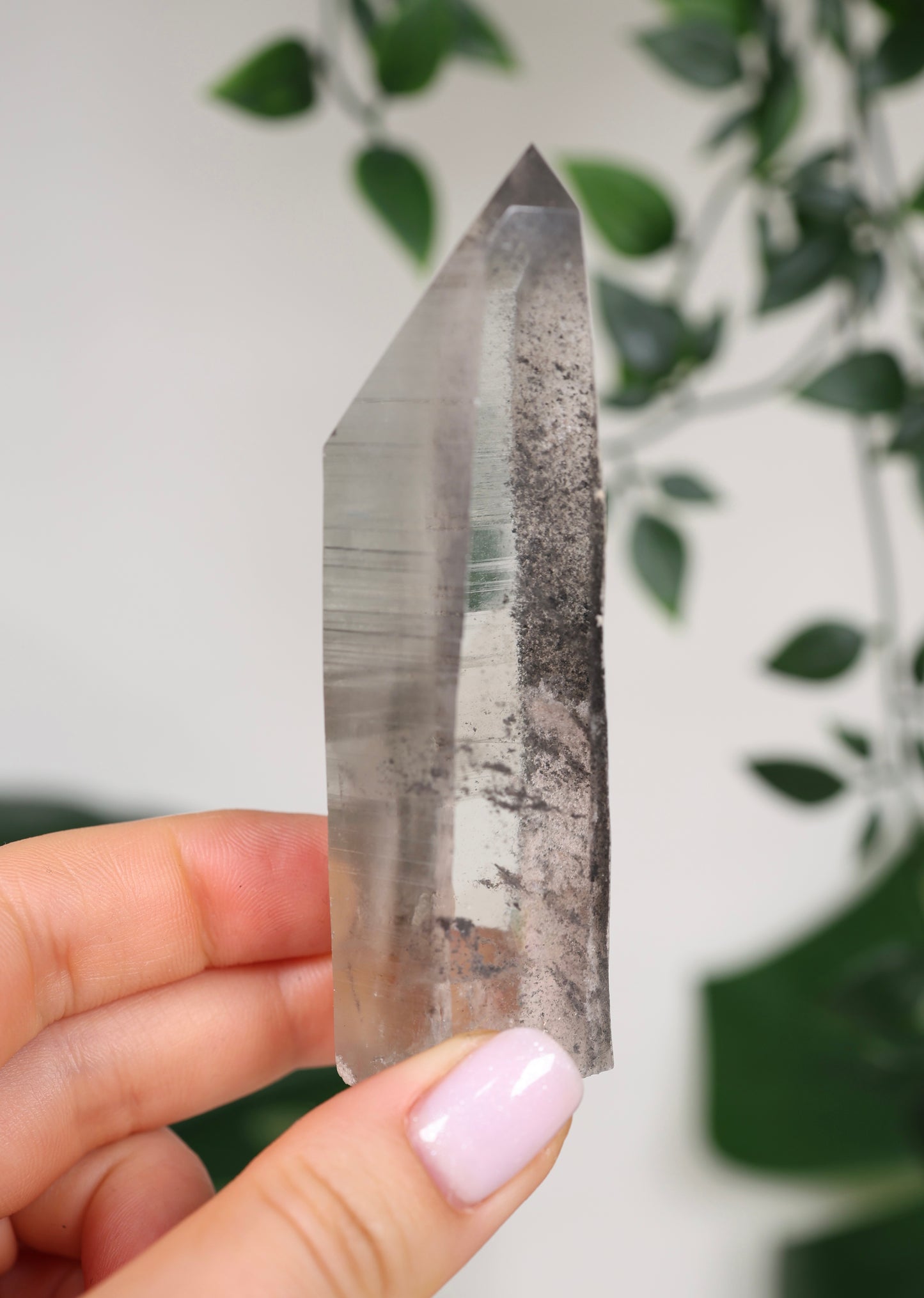 Black Phantom Lemurian Semi-Polished Nr.82BL
