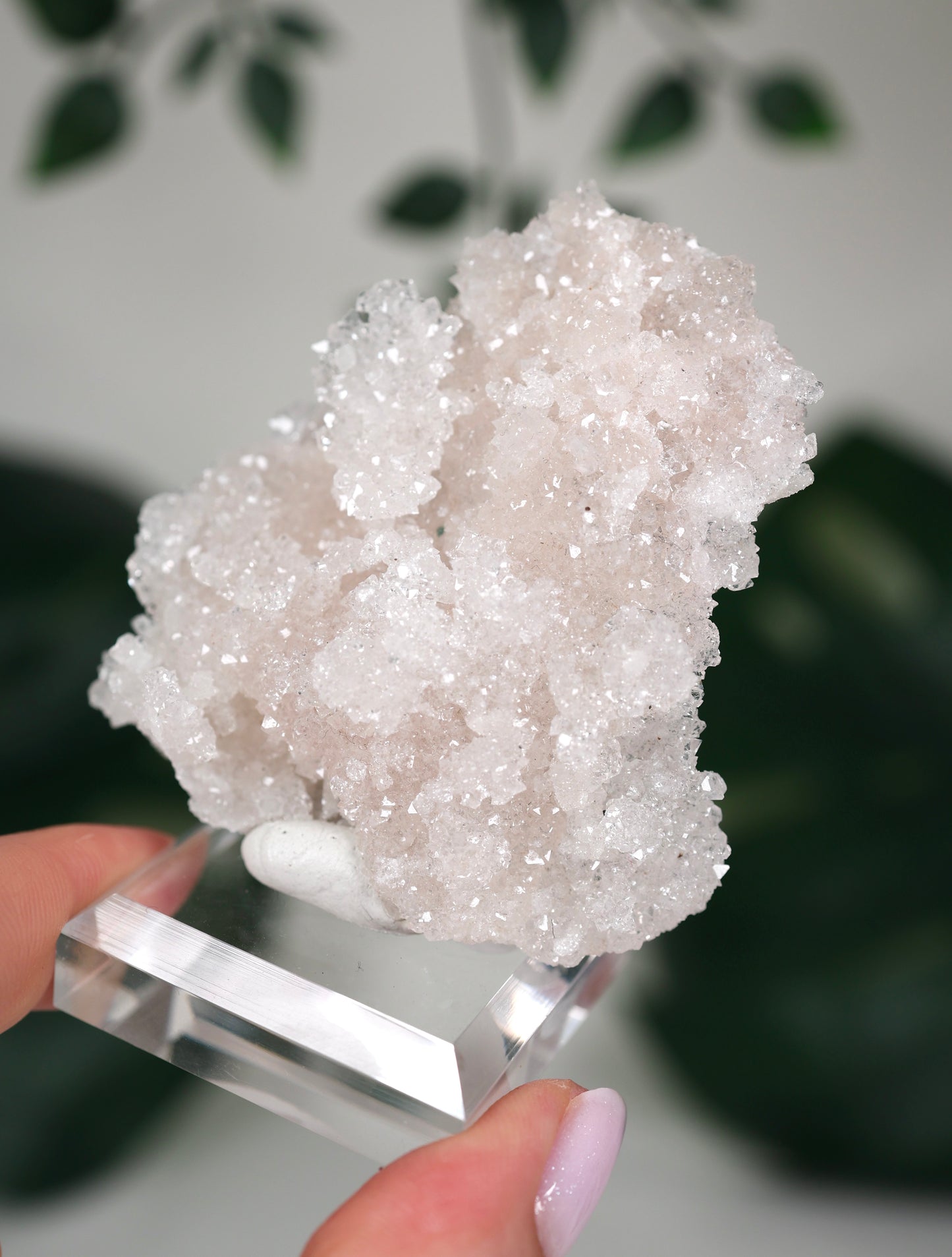 Apophyllit Peach ‚Crust‘ Nr.52AC