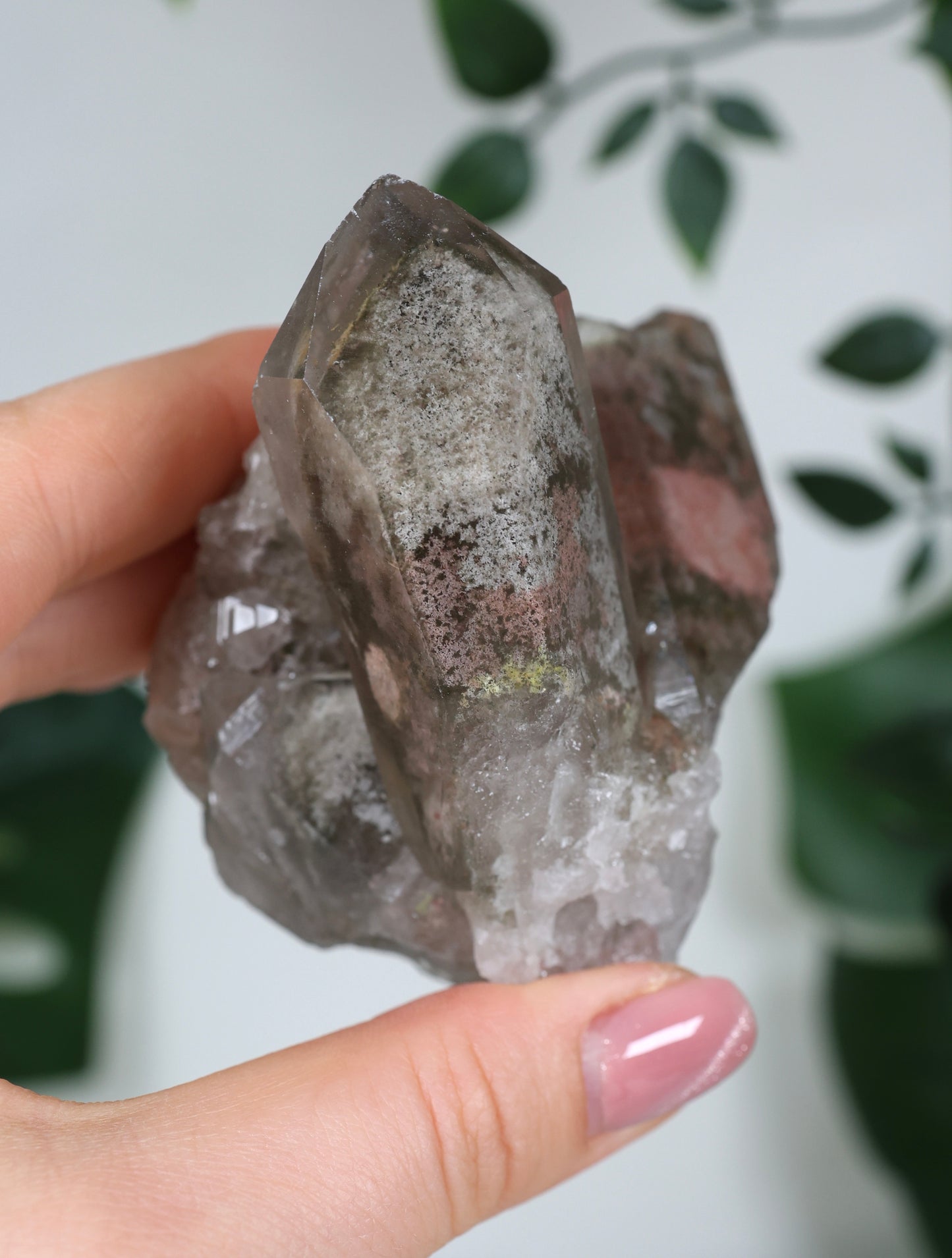 Garden Quartz x Rutile Cluster No.116GR