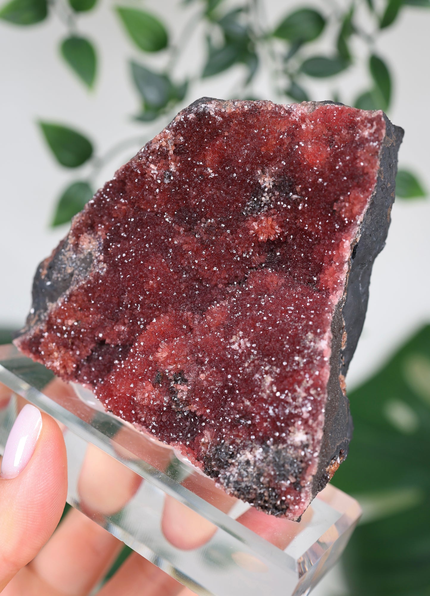 Kristallisierter Rhodochrosit Oldstock Nr.707RH