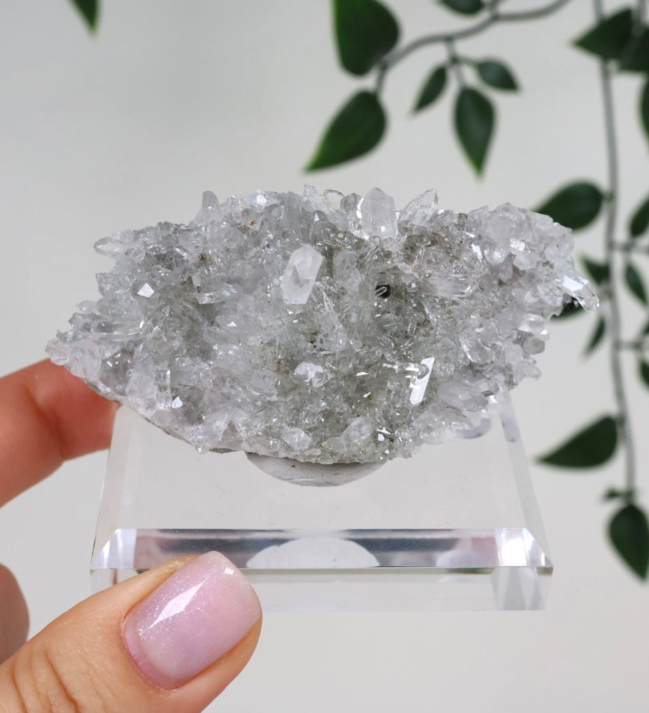 Starburst Quartz x Hematite Goboboseb No.168GS