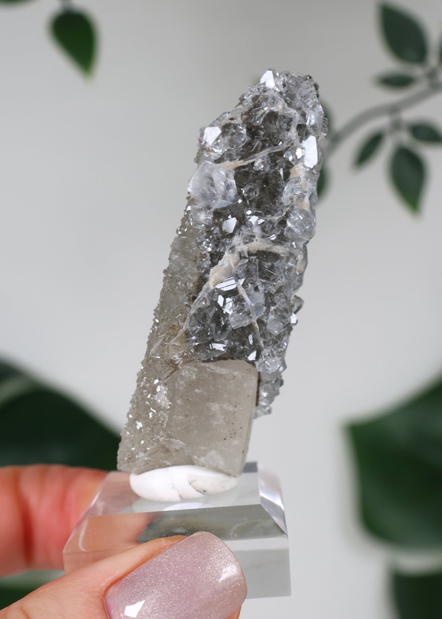 Apophyllite x Quartz x Chlorite No. 118QA