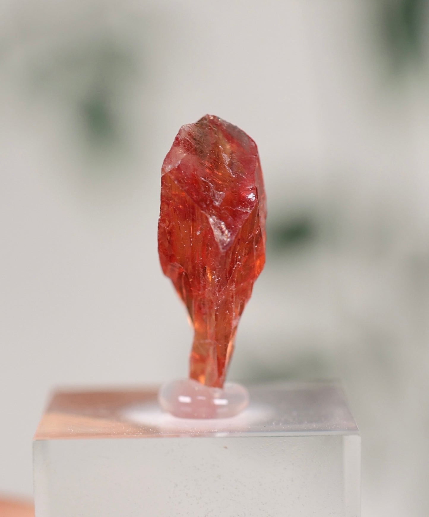 Kristallisierter Rhodochrosit Oldstock Nr.84RH