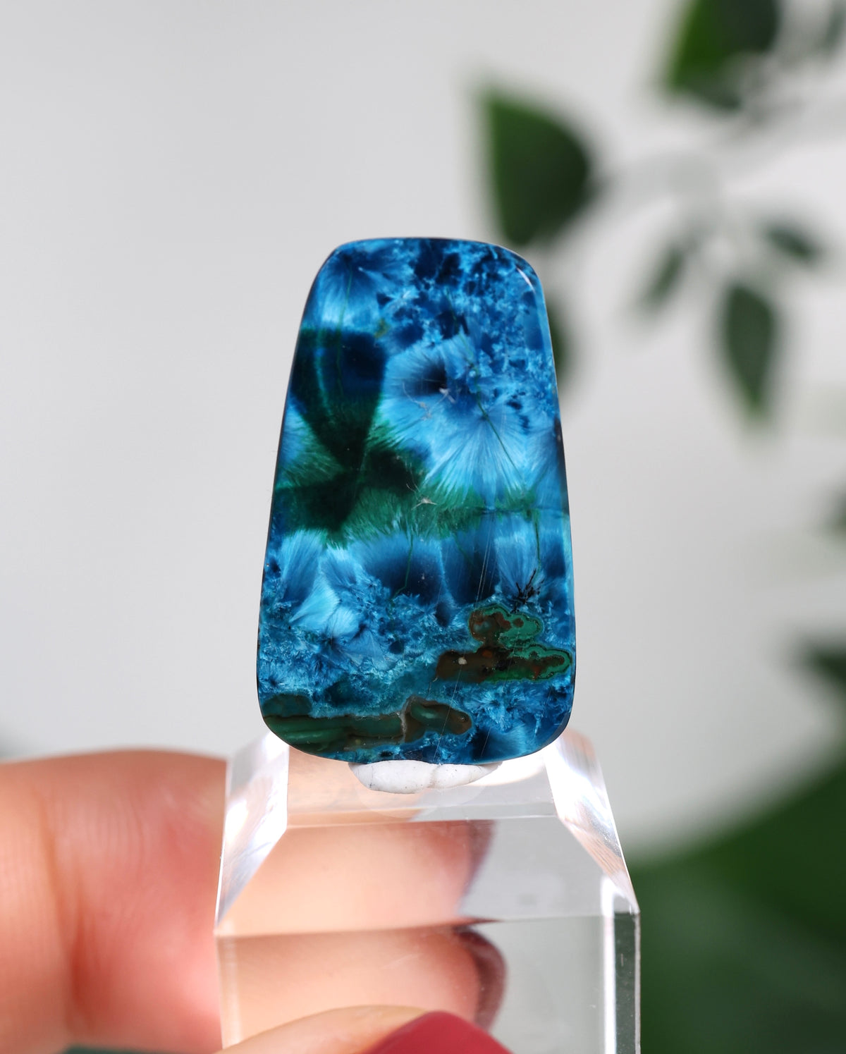 Tantara Shattuckit x Dioptas Oldstock Cabochon Nr.164ST