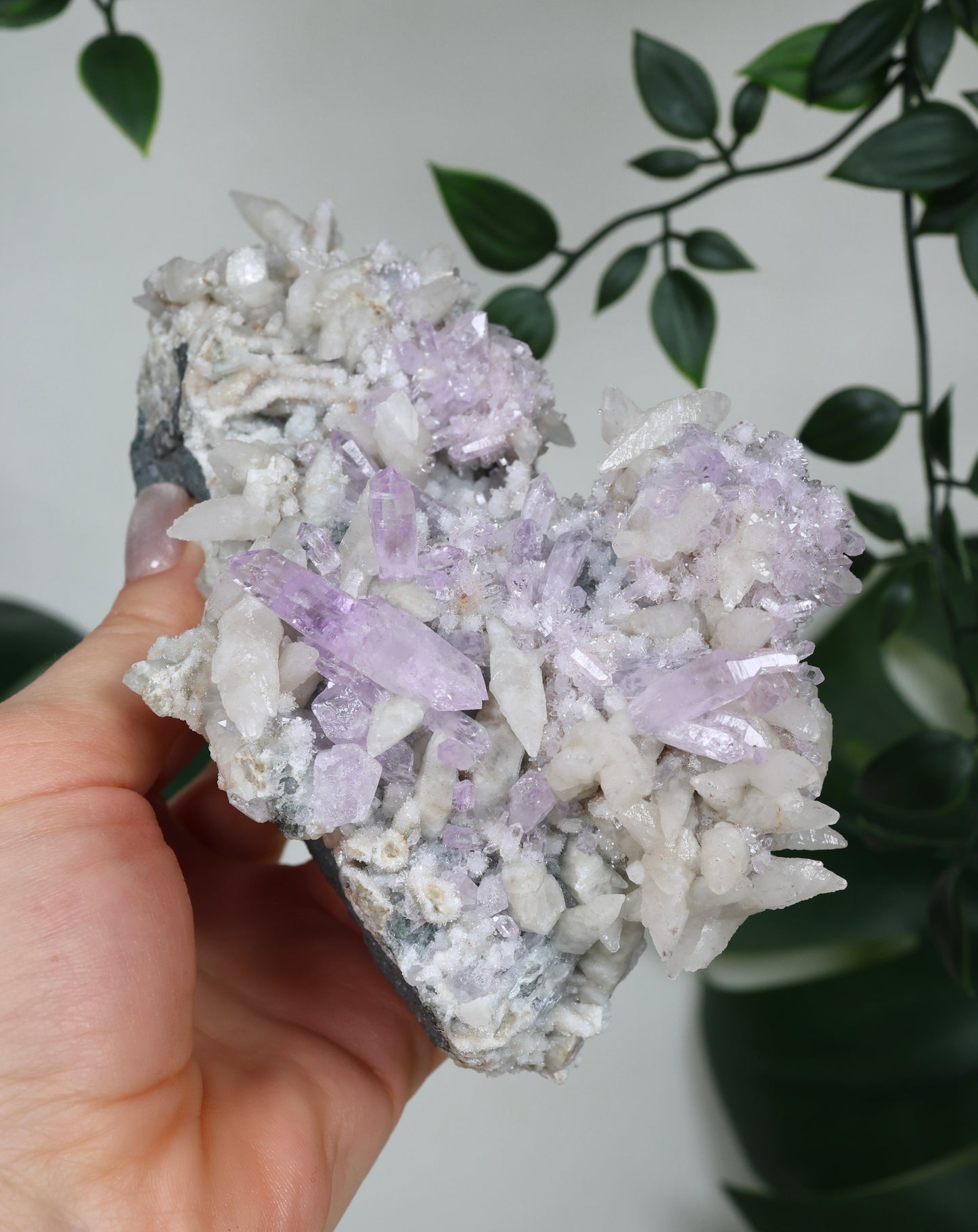 Calcite x Vera Cruz Amethyst No. 595VC