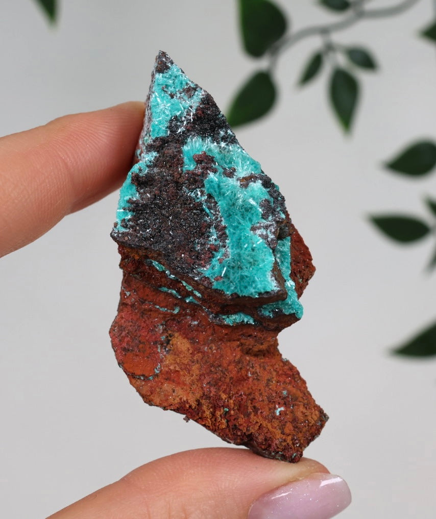 Aurichalcite Nr.18AU