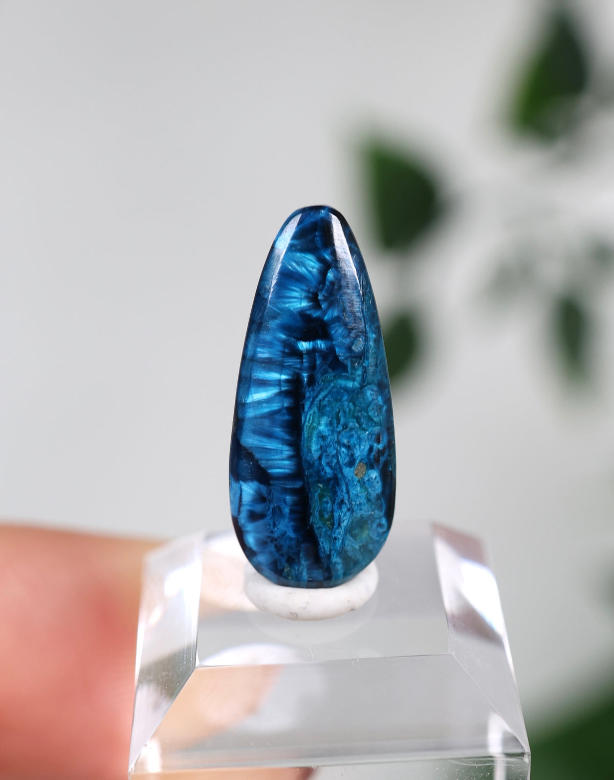 Tantara Shattuckit x Dioptas Oldstock Cabochon Nr.95ST