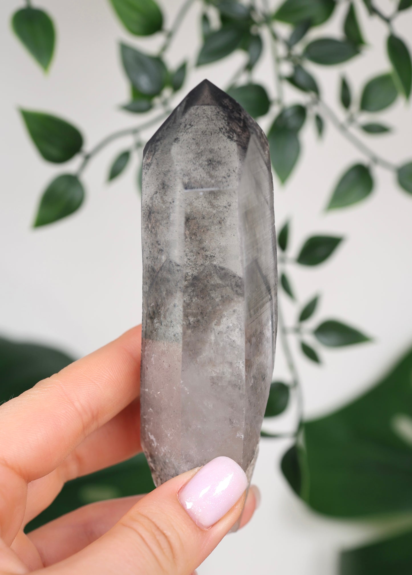 Black Phantom Lemurian Semi-Polished Nr.94BL