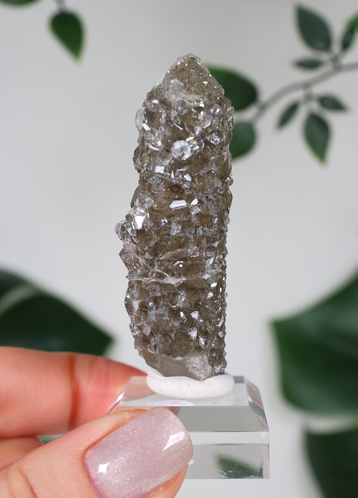 Apophyllite x Quartz x Chlorite No. 108Q1
