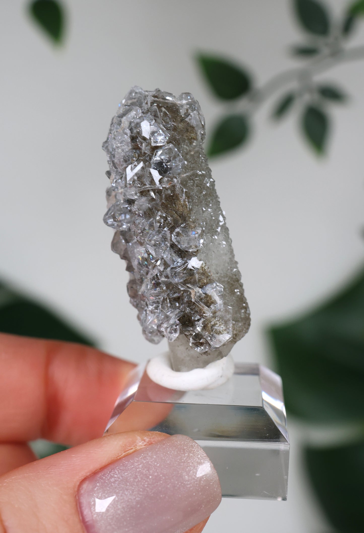 Apophyllite x Quartz x Chlorite No.57QA