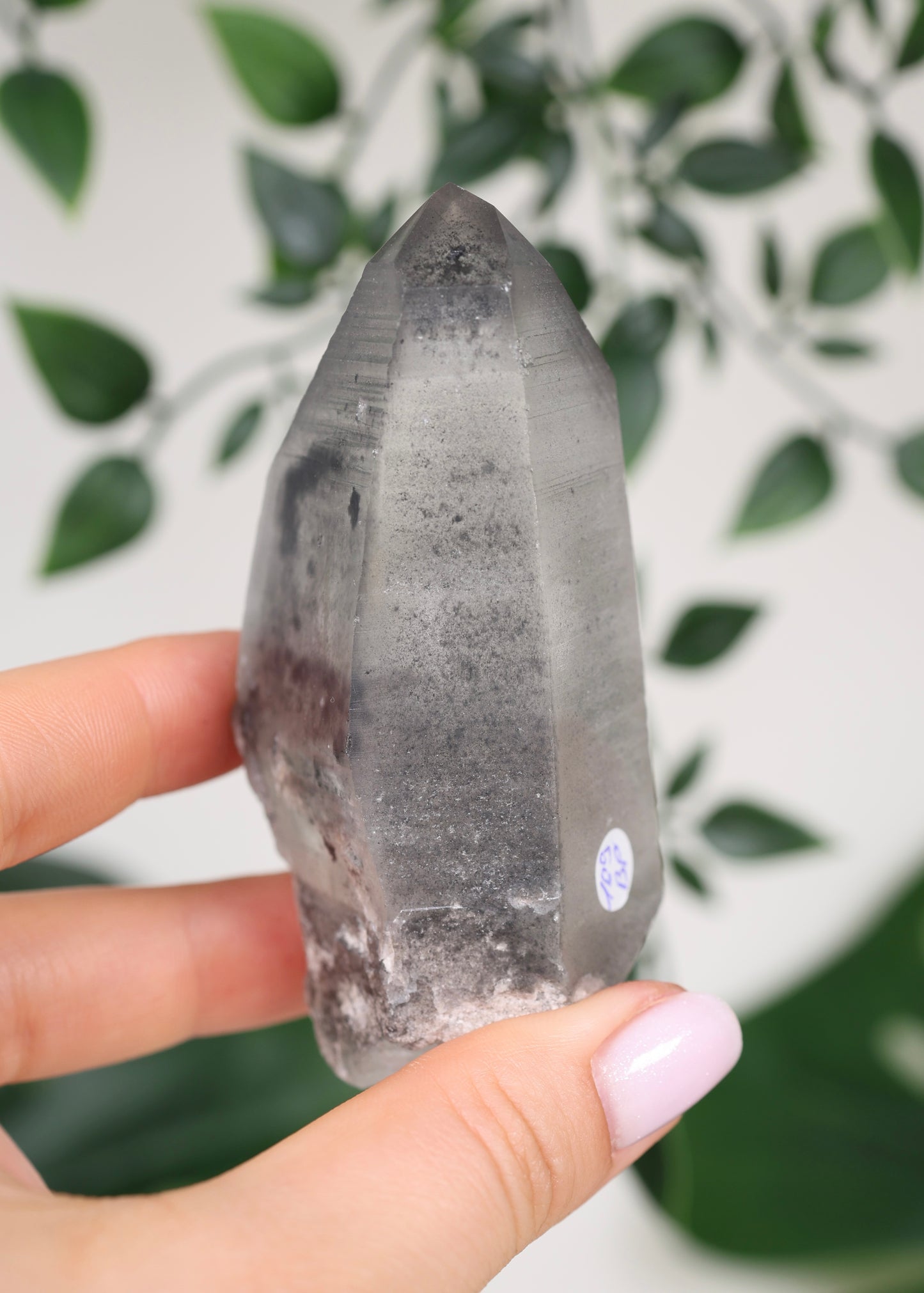 Black Phantom Lemurian Semi-Polished Nr.109BL