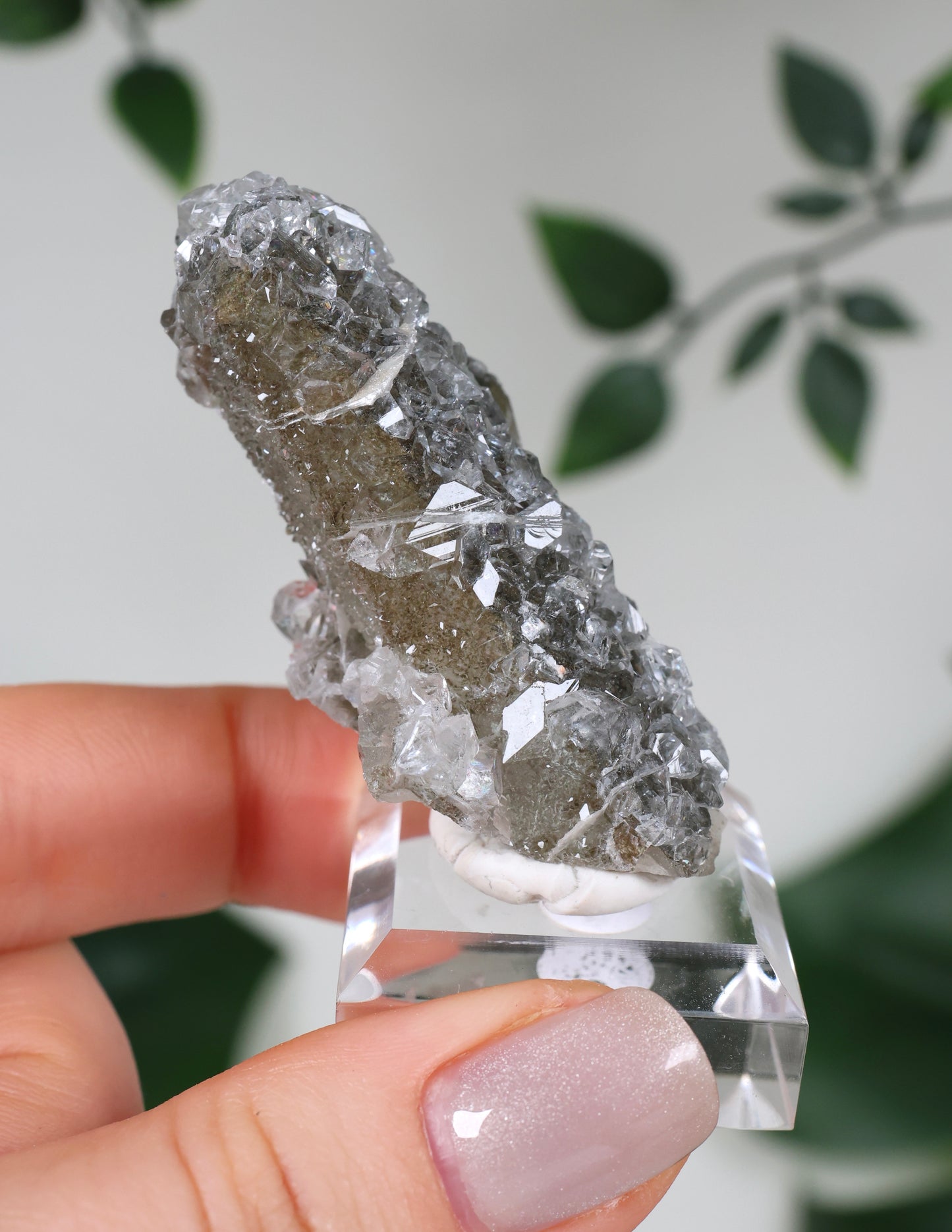 Apophyllite x Quartz x Chlorite No. 111Q2