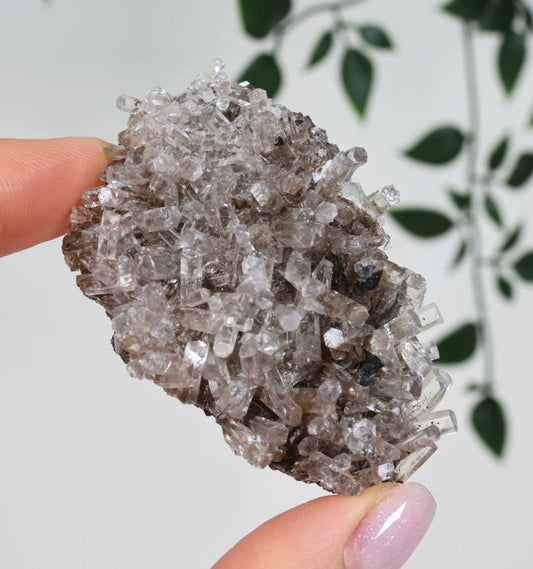 Columnar Calcite No. 62CC 