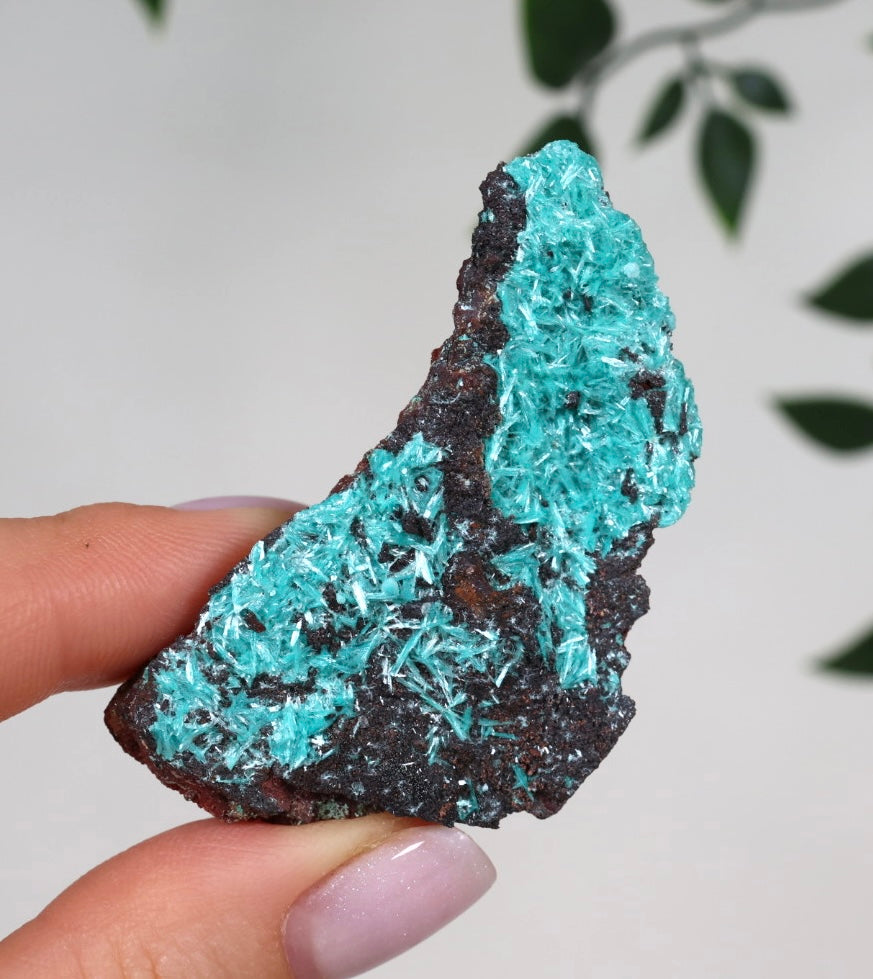 Aurichalcite No. 37AU 