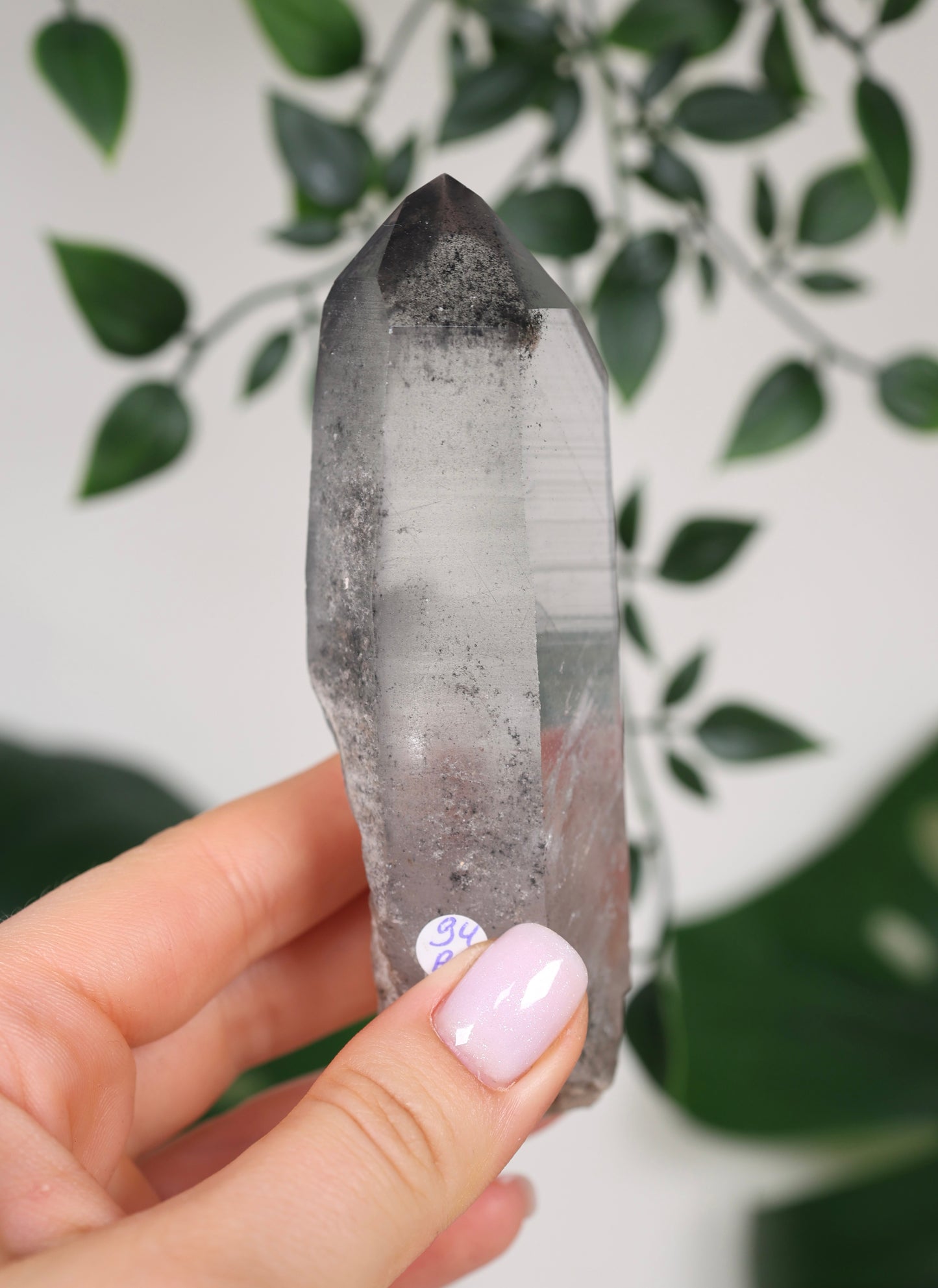 Black Phantom Lemurian Semi-Polished Nr.94BL