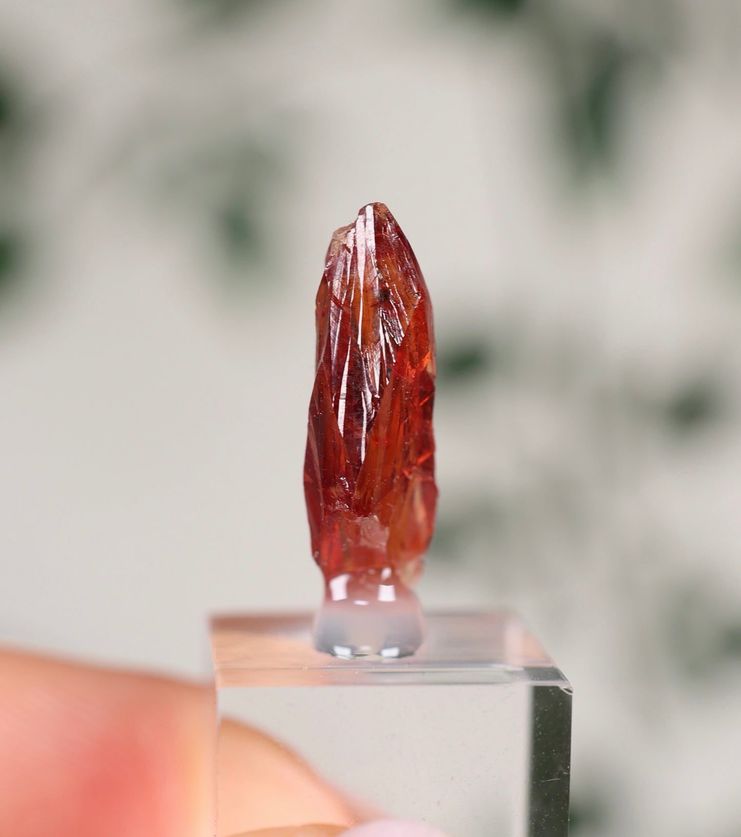 Kristallisierter Rhodochrosit Oldstock Nr.128RH