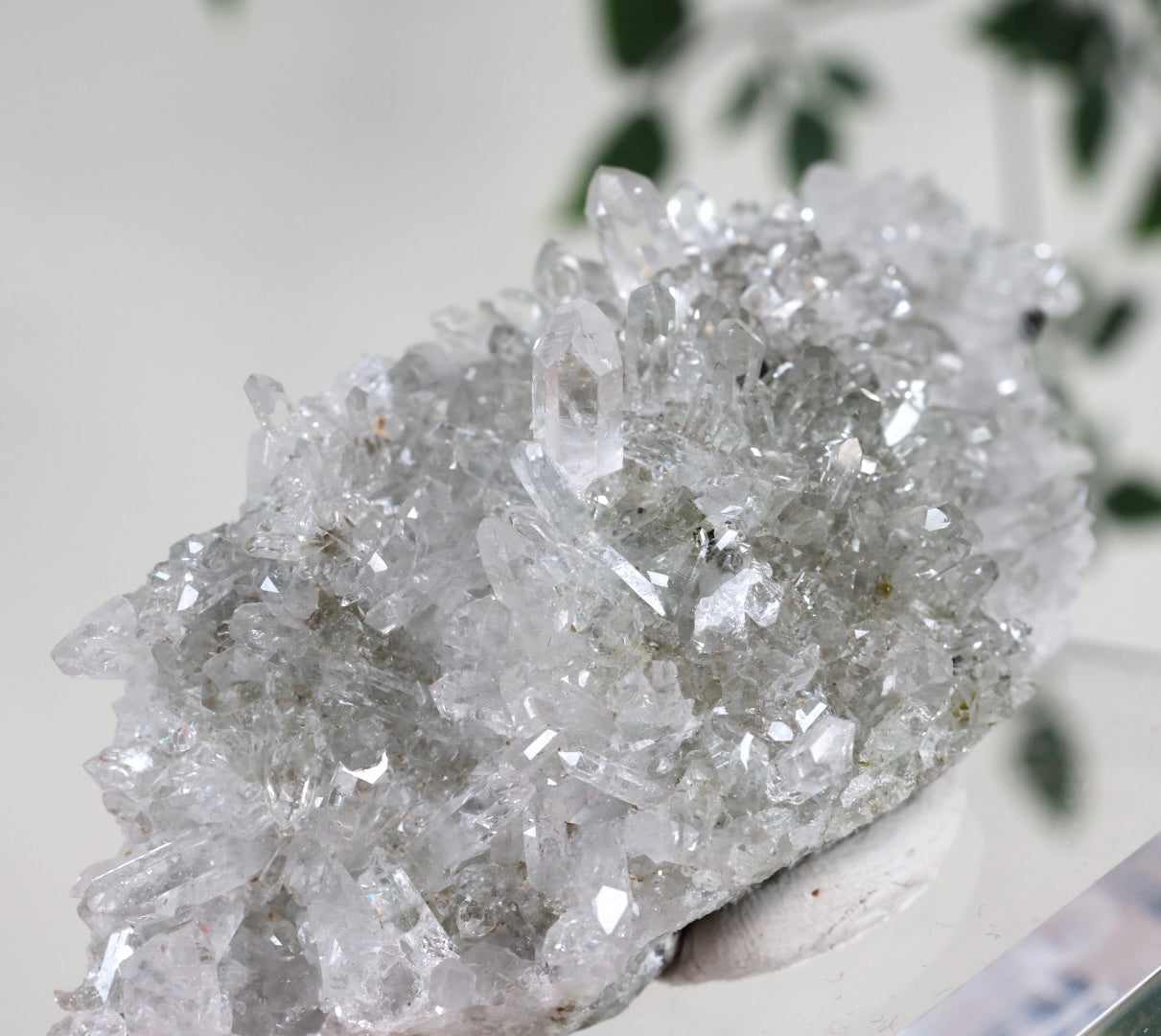 Starburst Quartz x Hematite Goboboseb No.168GS