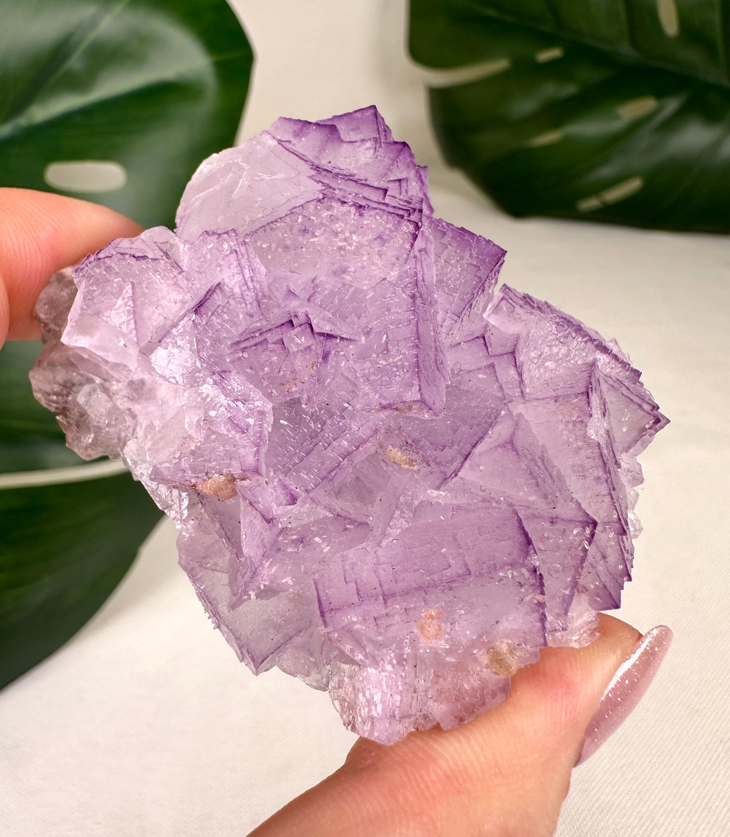 Fluorita Filo n.° 104FF