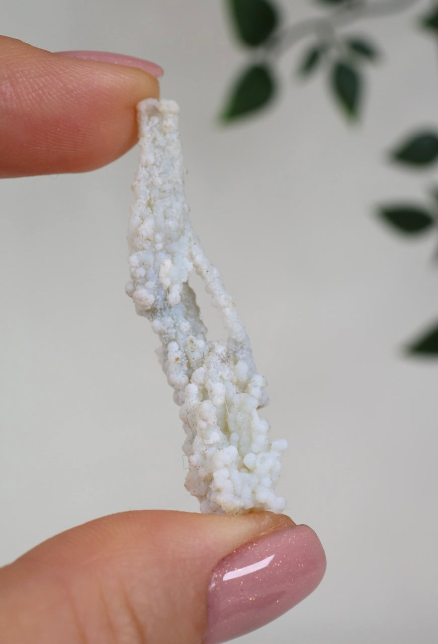 Calcedonia azul coral - Selección