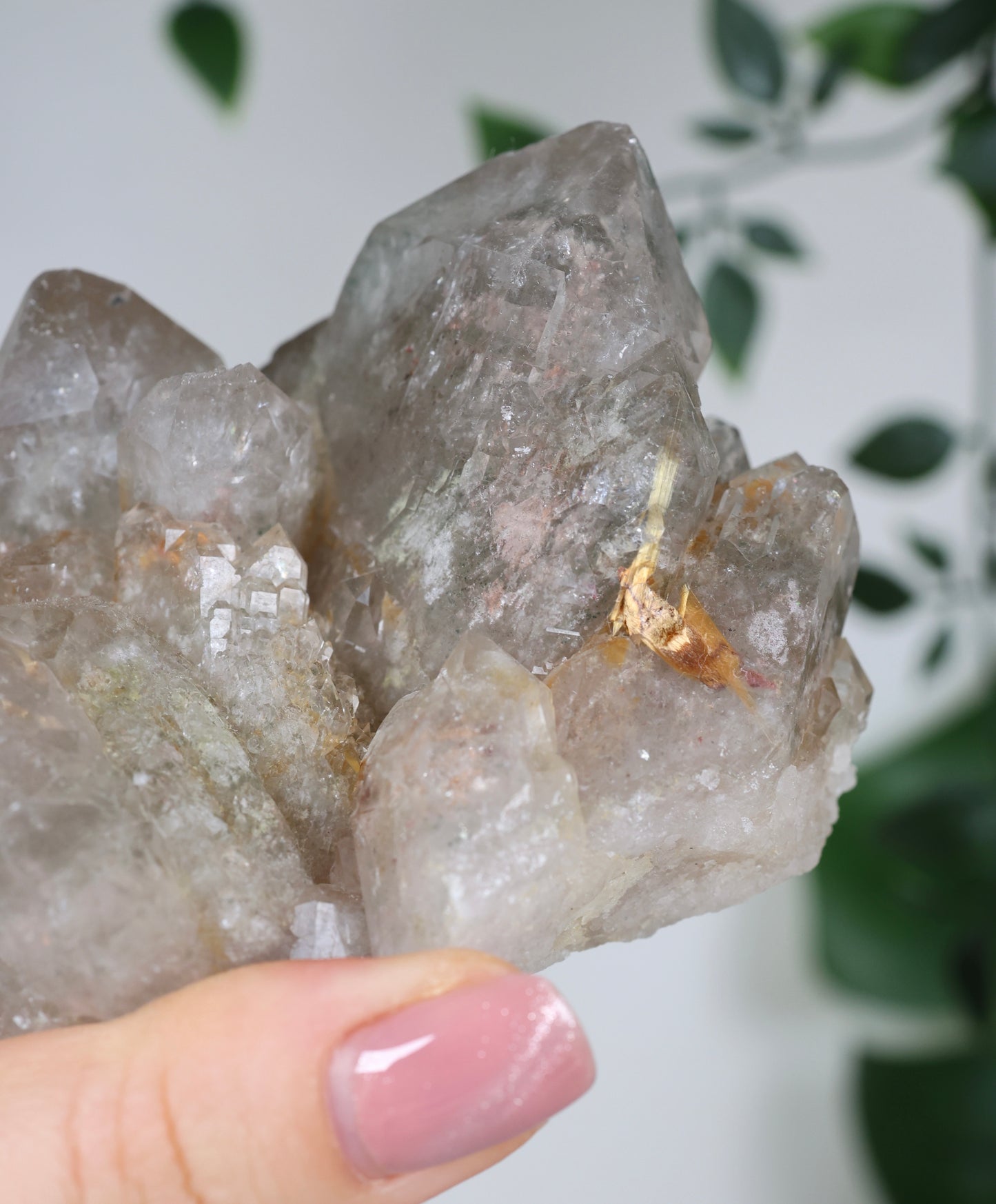 Garden Quartz x Rutile Cluster No. 168GR